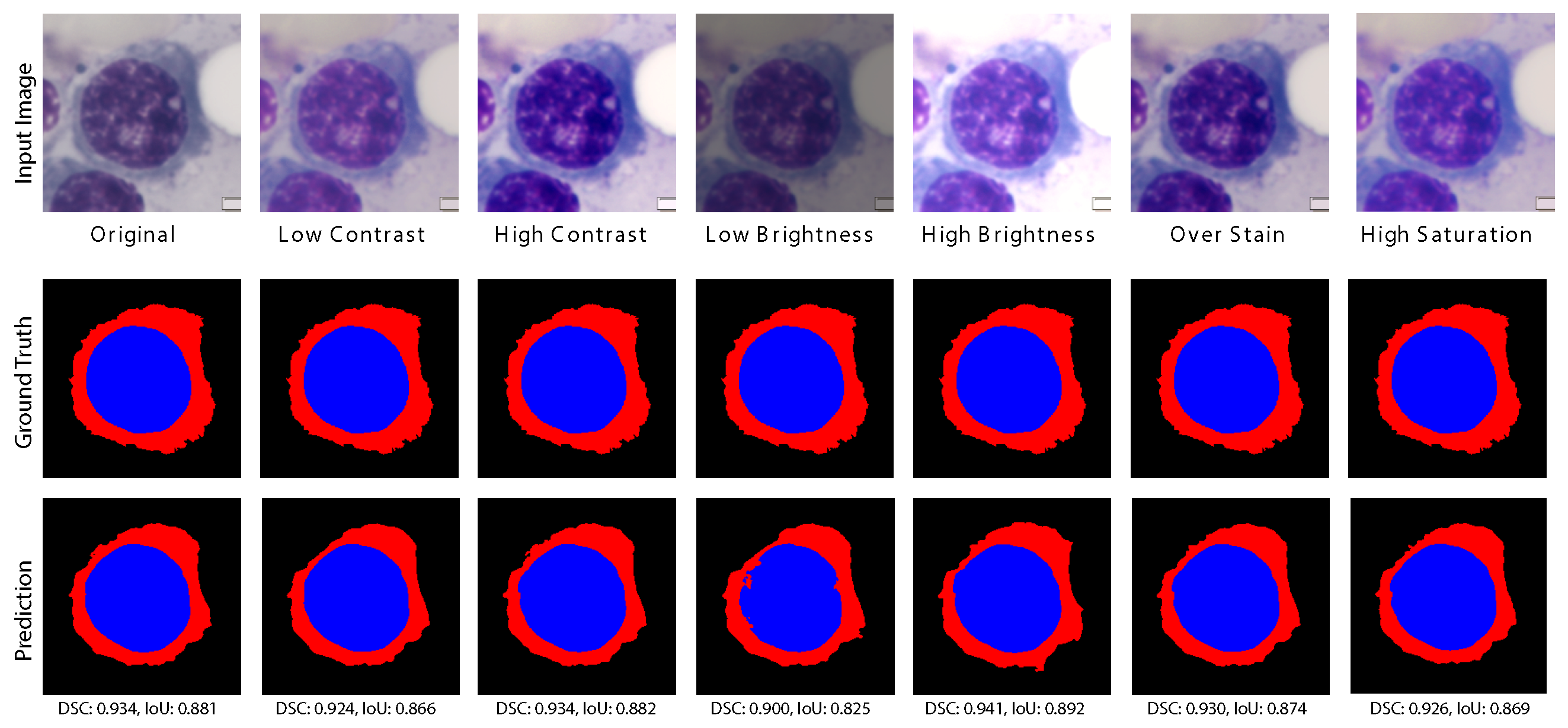 Jimaging 11 00386 g0a2