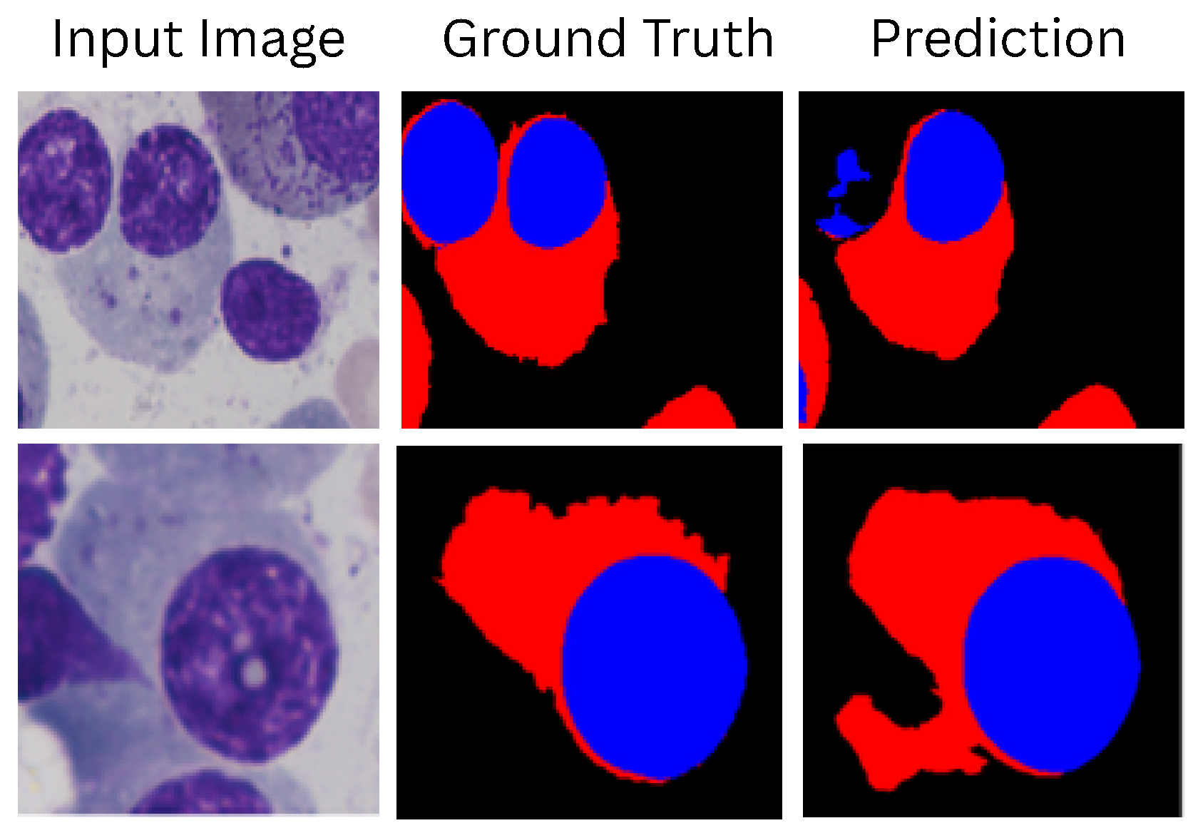 Jimaging 11 00386 g0a4