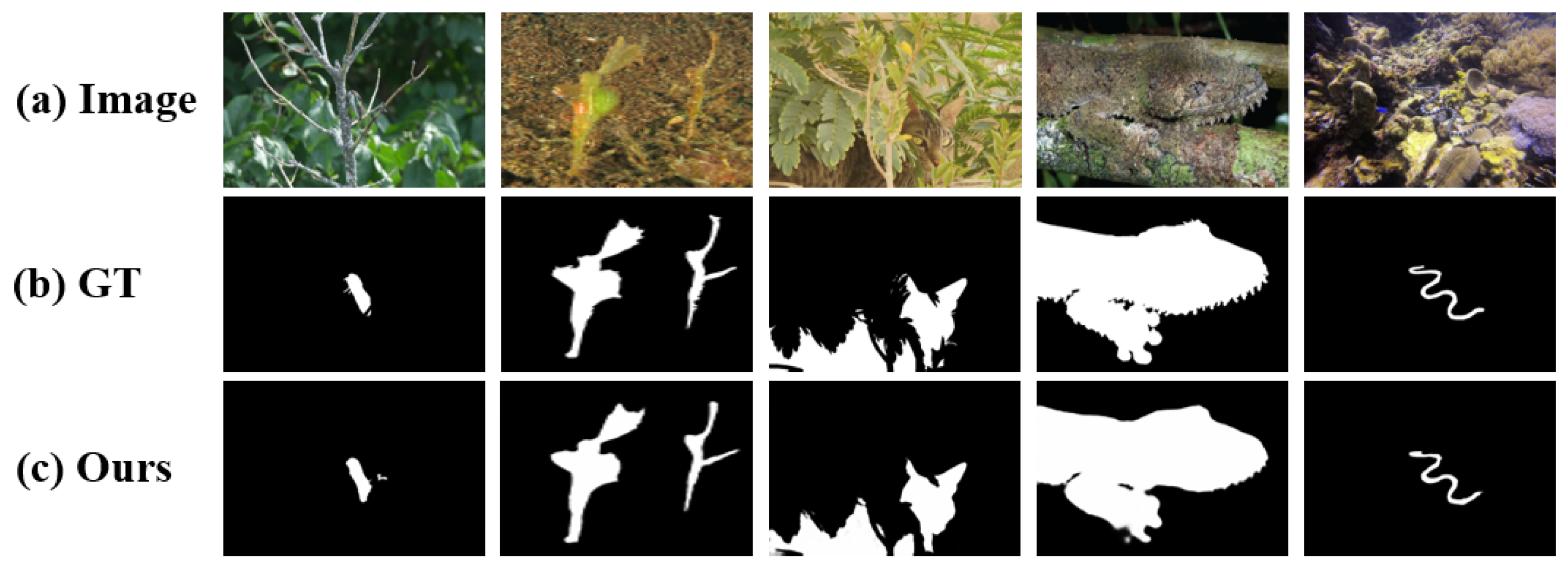 Jimaging 11 00412 g001 Jimaging 11 00412 g001