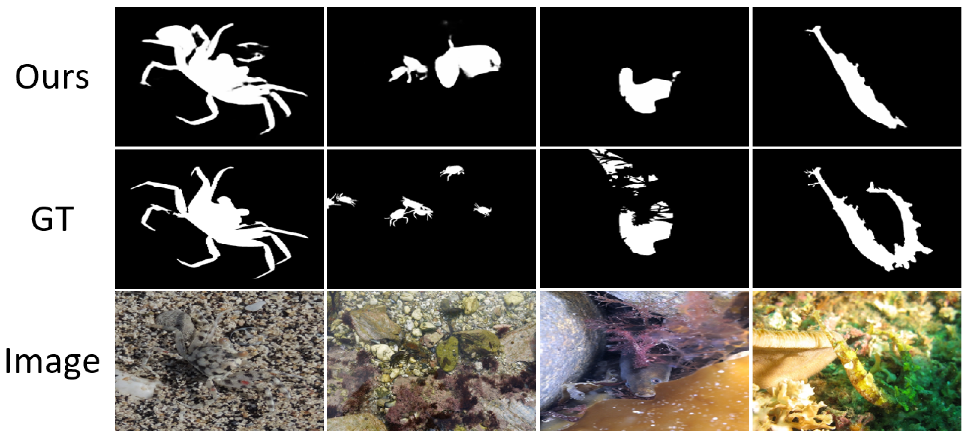 Jimaging 11 00412 g009 Jimaging 11 00412 g009