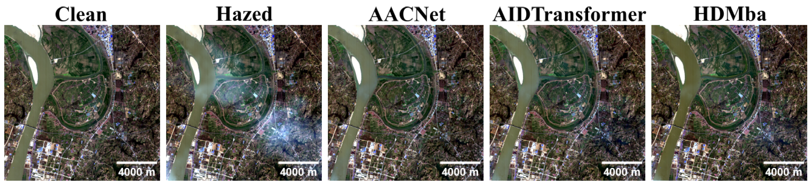 Jimaging 11 00422 g009