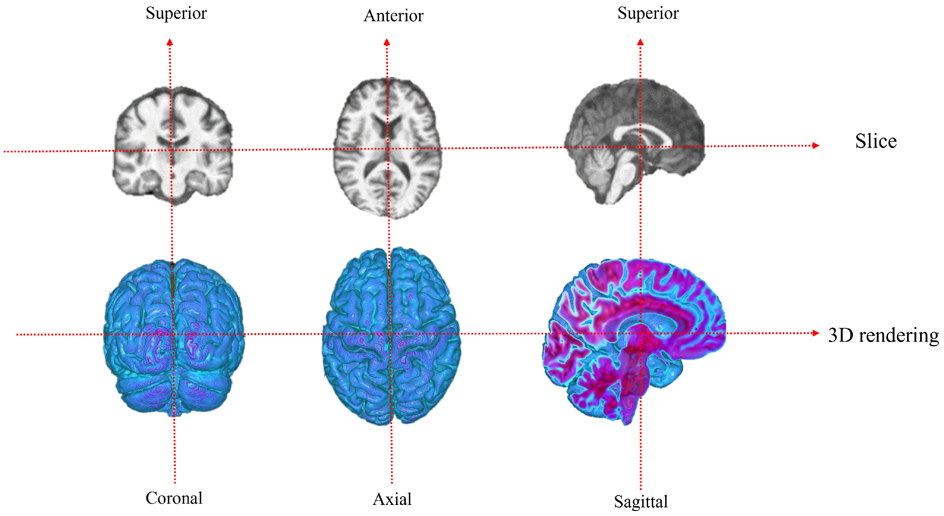 Jimaging 11 00426 g004
