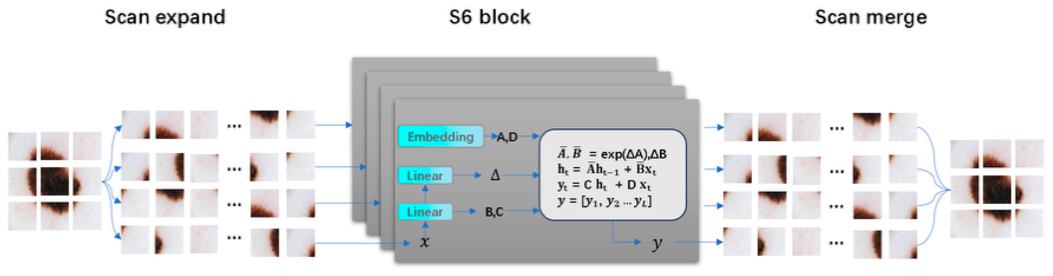 Jimaging 11 00443 g002