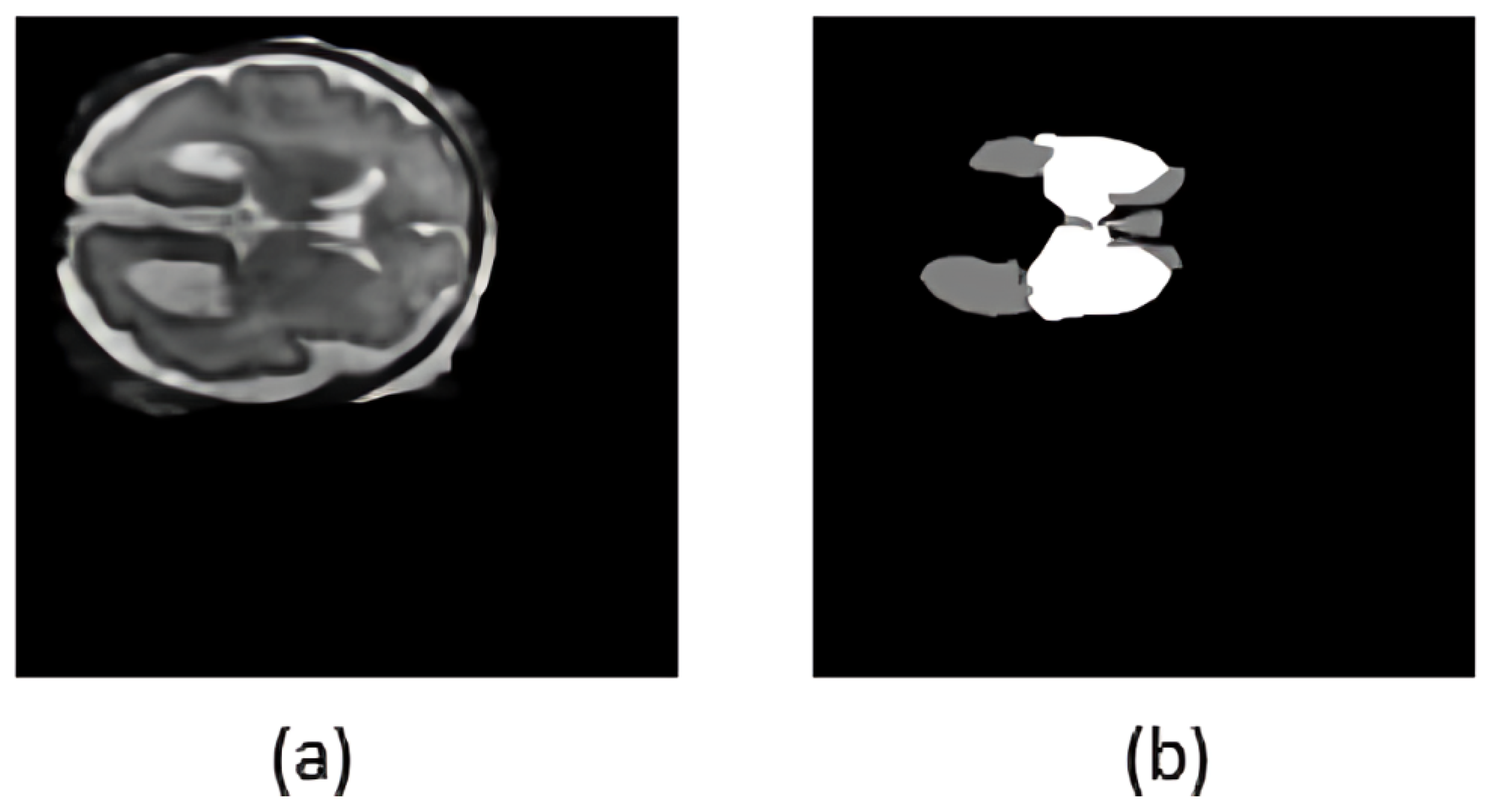 Jimaging 11 00444 g002