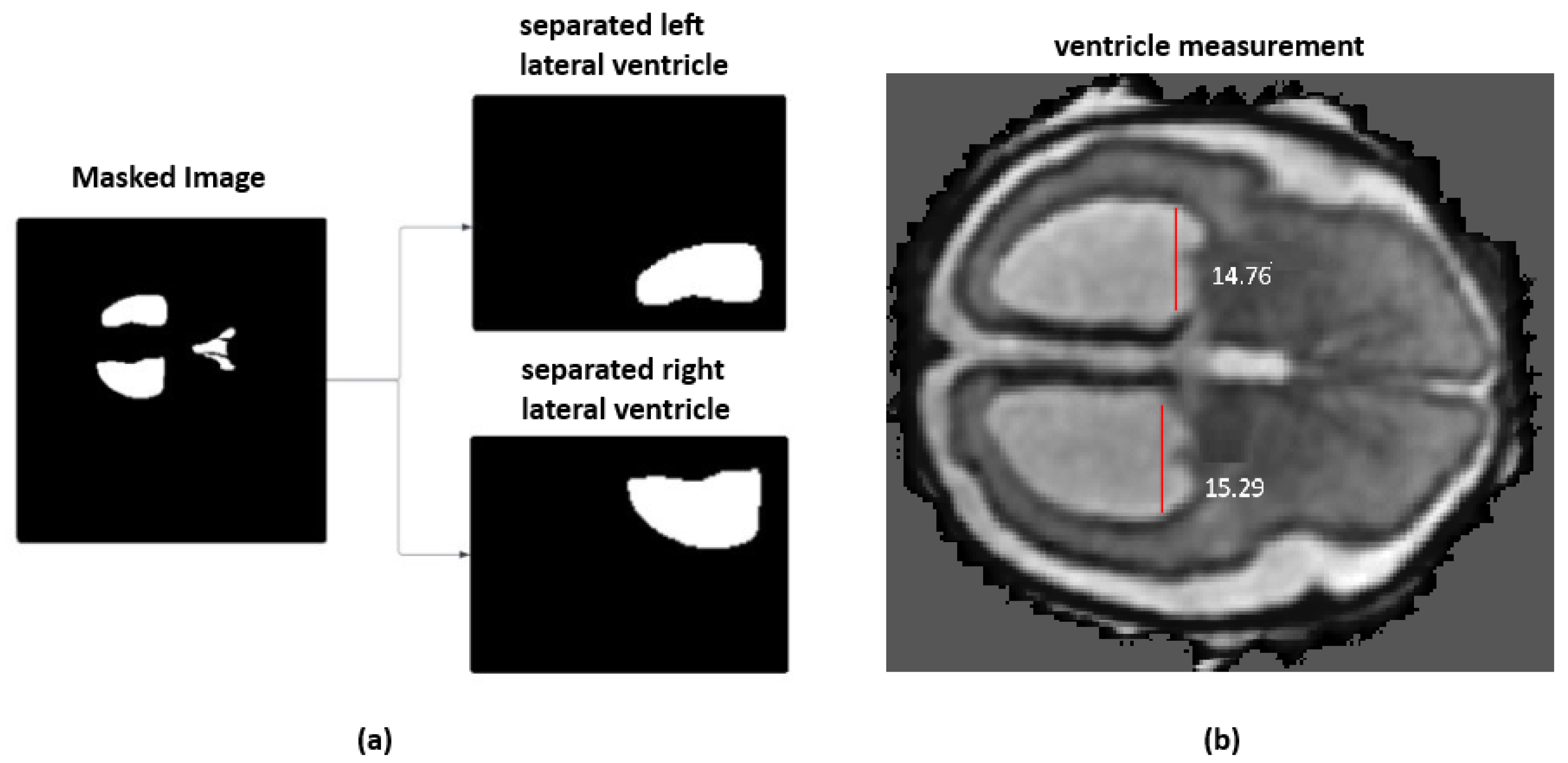 Jimaging 11 00444 g003