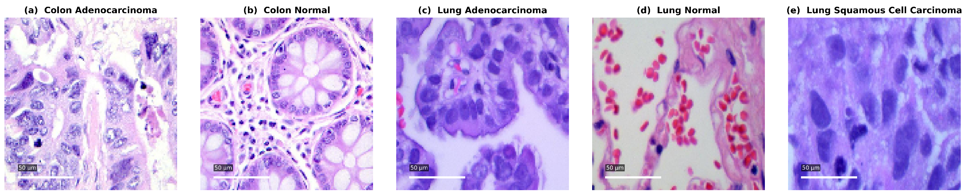 Jimaging 11 00448 g001