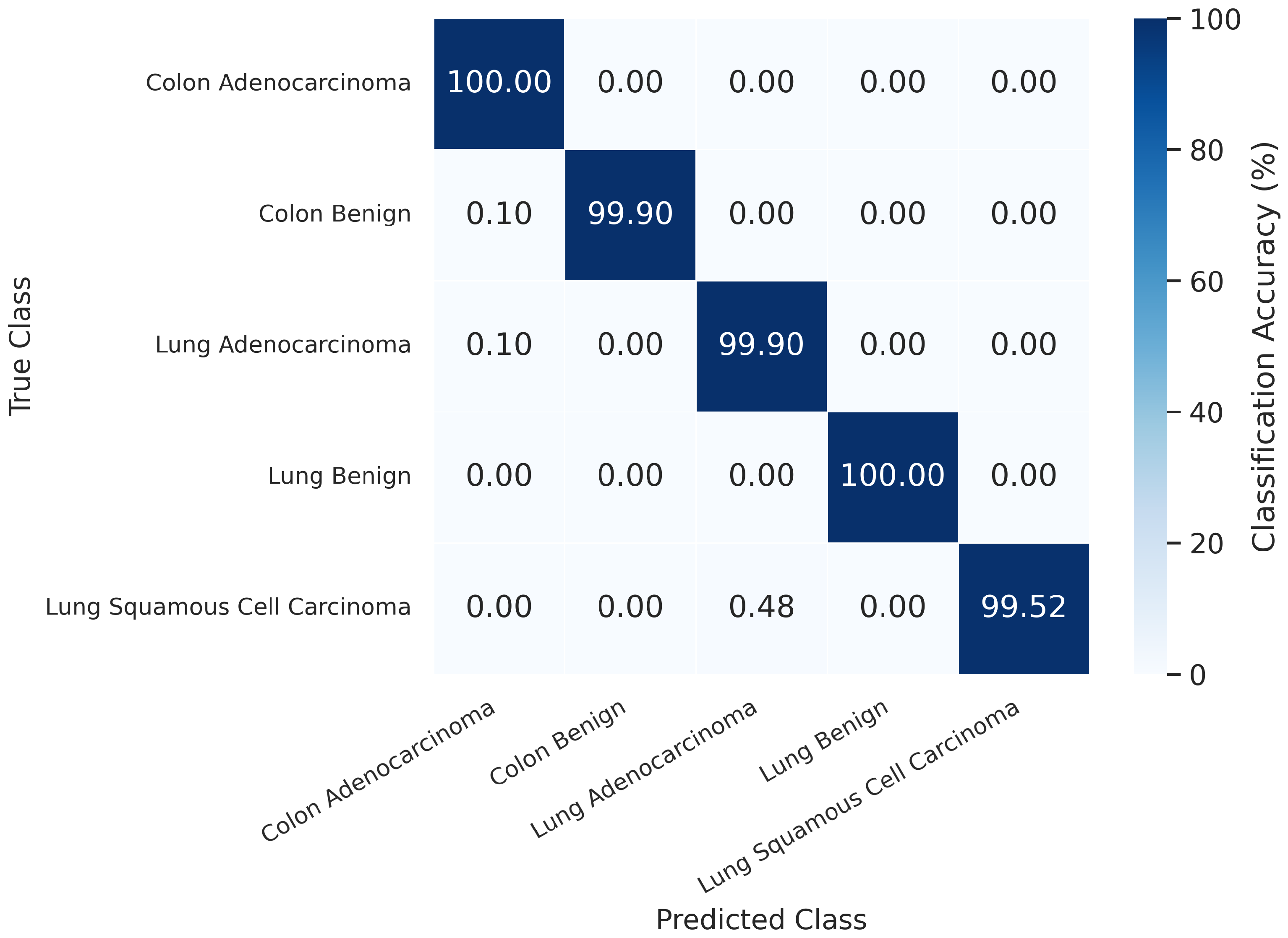 Jimaging 11 00448 g003