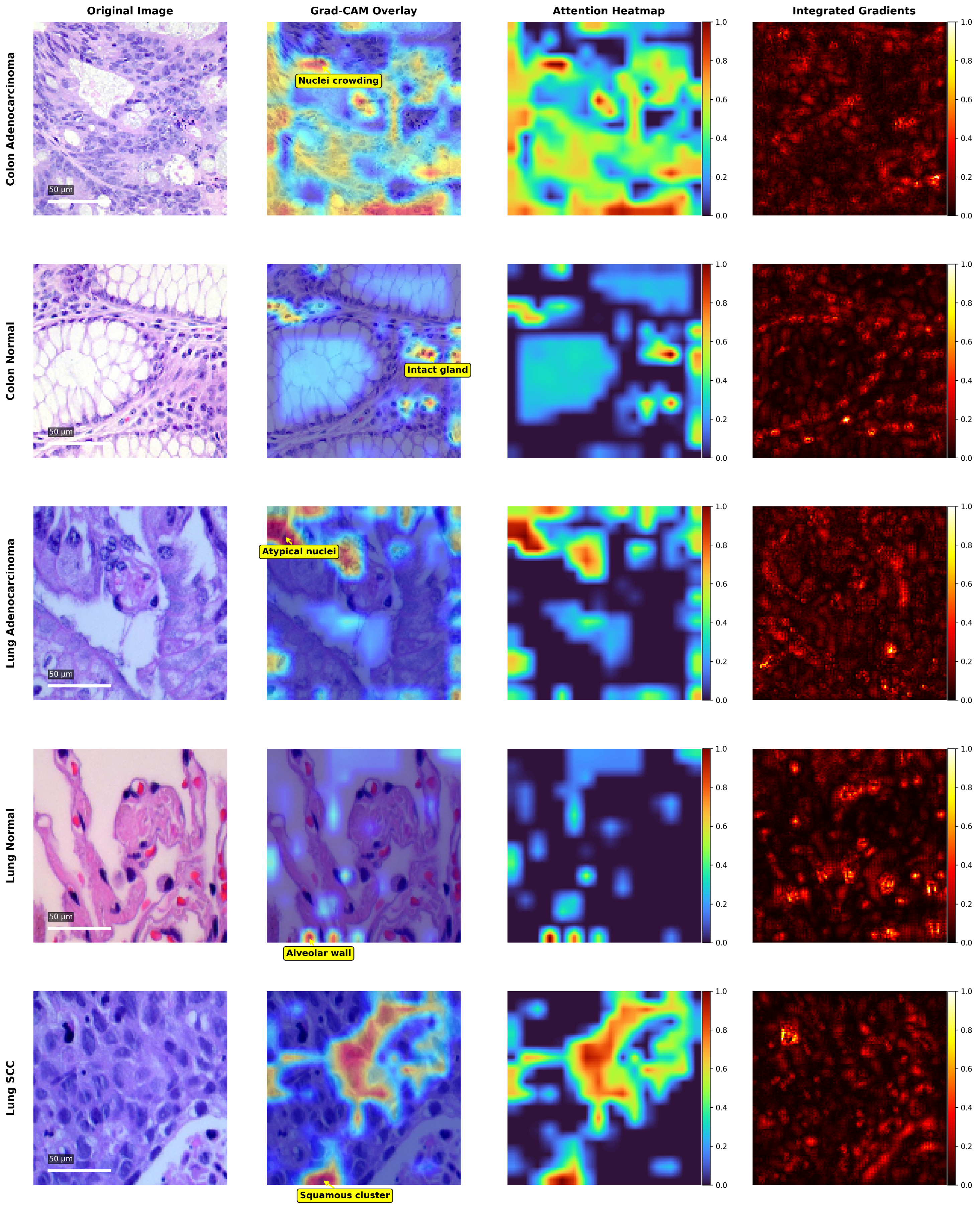 Jimaging 11 00448 g006