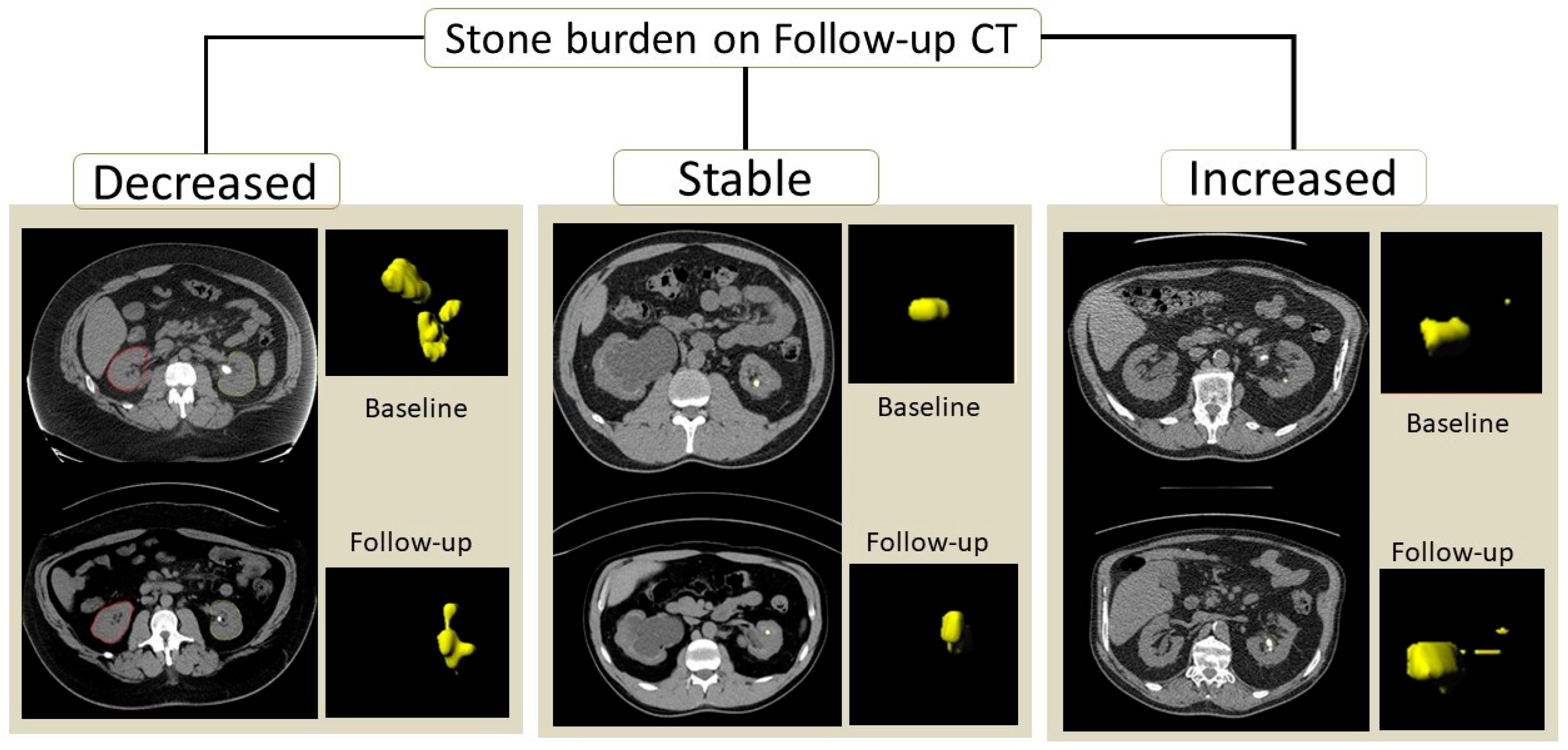 Jimaging 12 00013 g001