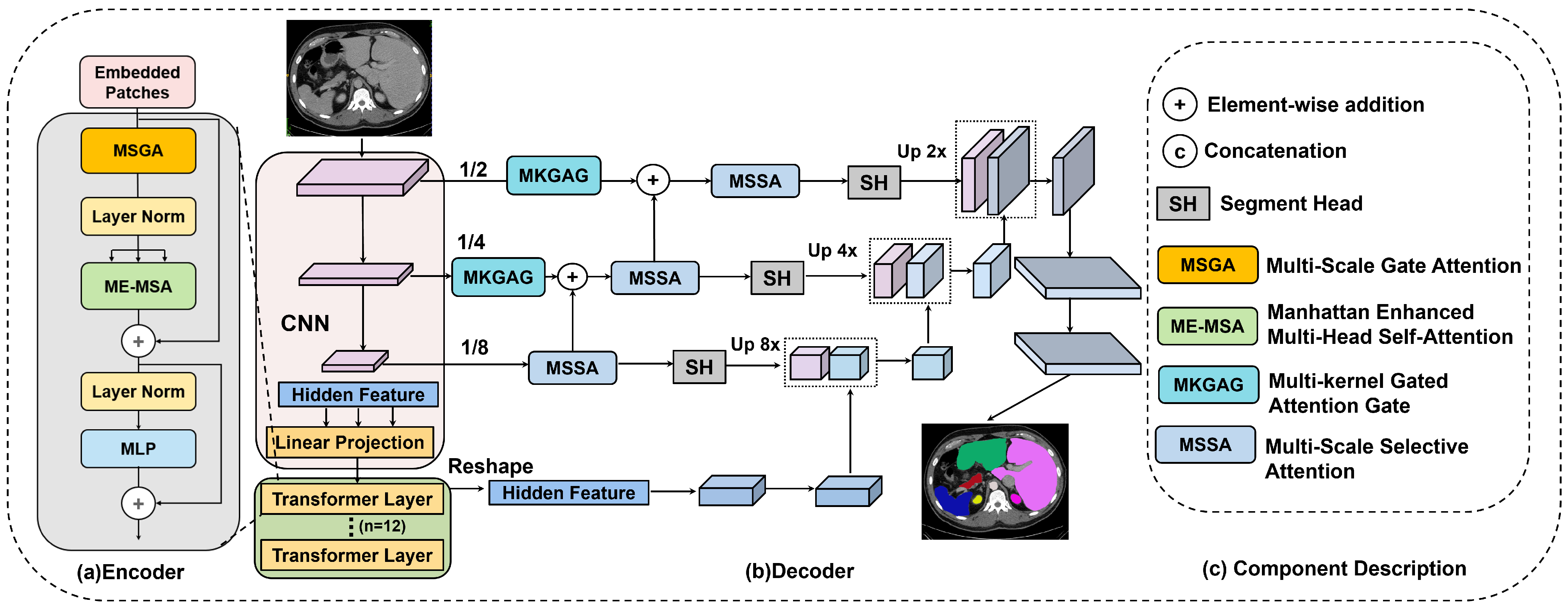 Jimaging 12 00015 g001