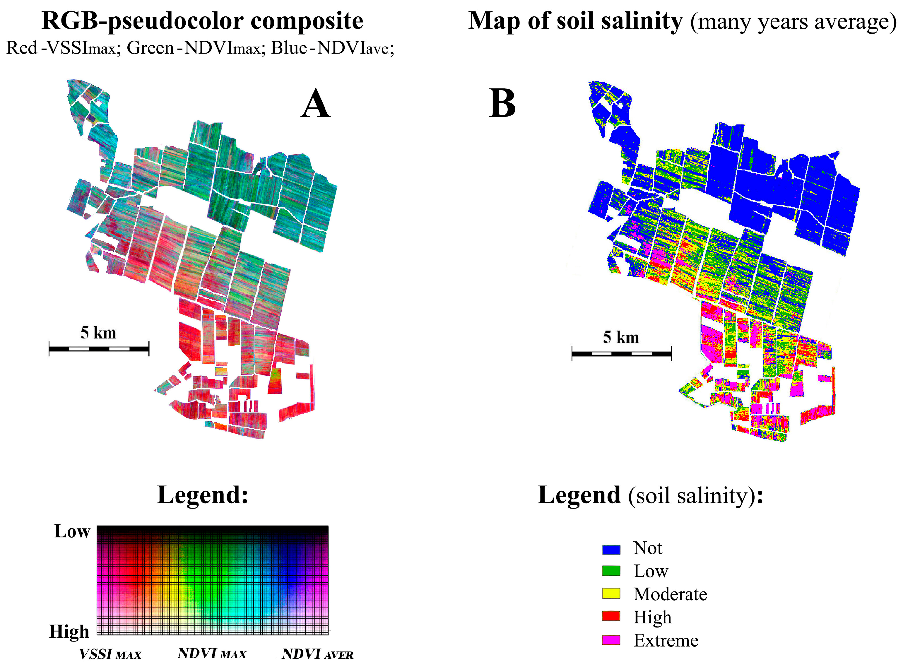 Jimaging 12 00023 g013