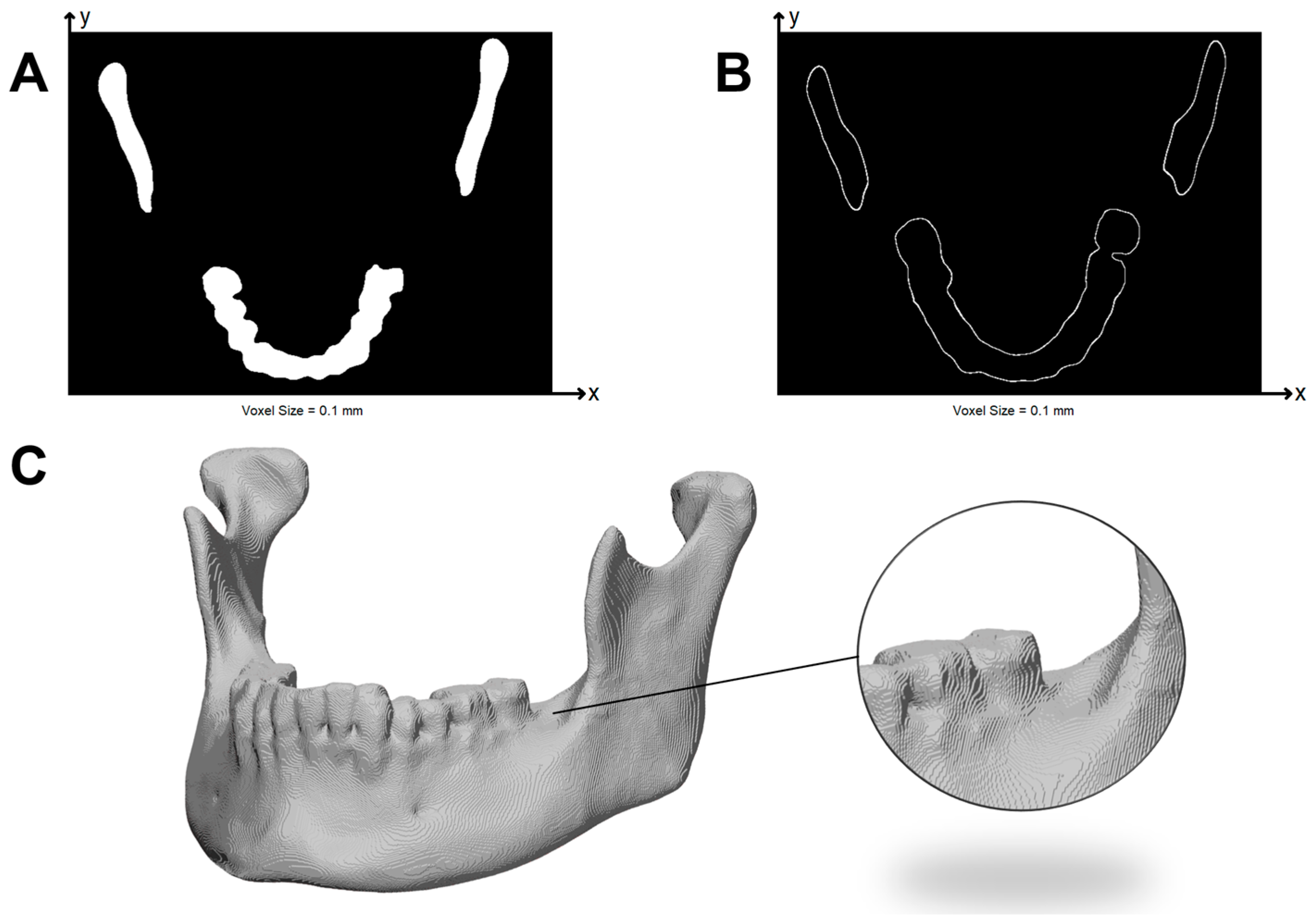 Jimaging 12 00025 g002