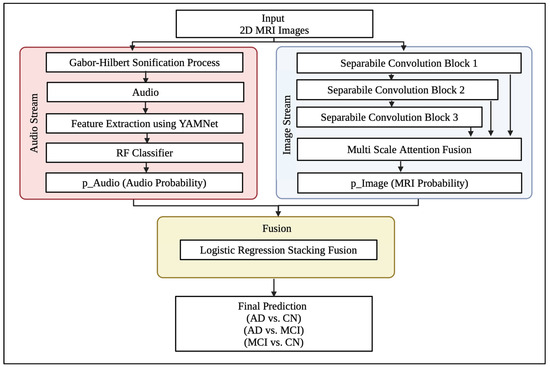 A Dual Stream Deep Learning Framework for Alzheimer’s Disease Detection ...