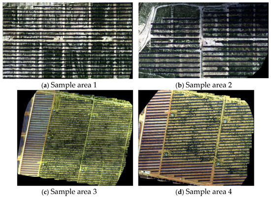 Optimized Reinforcement Learning-Driven Model for Remote Sensing