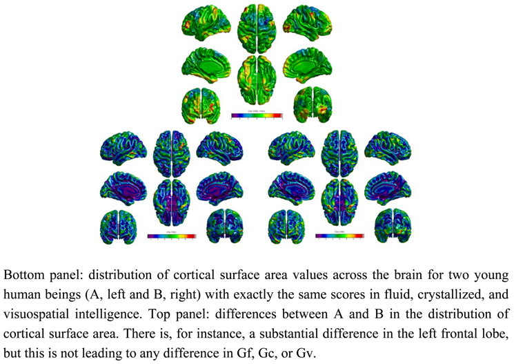 Jintelligence 01 00005 i001