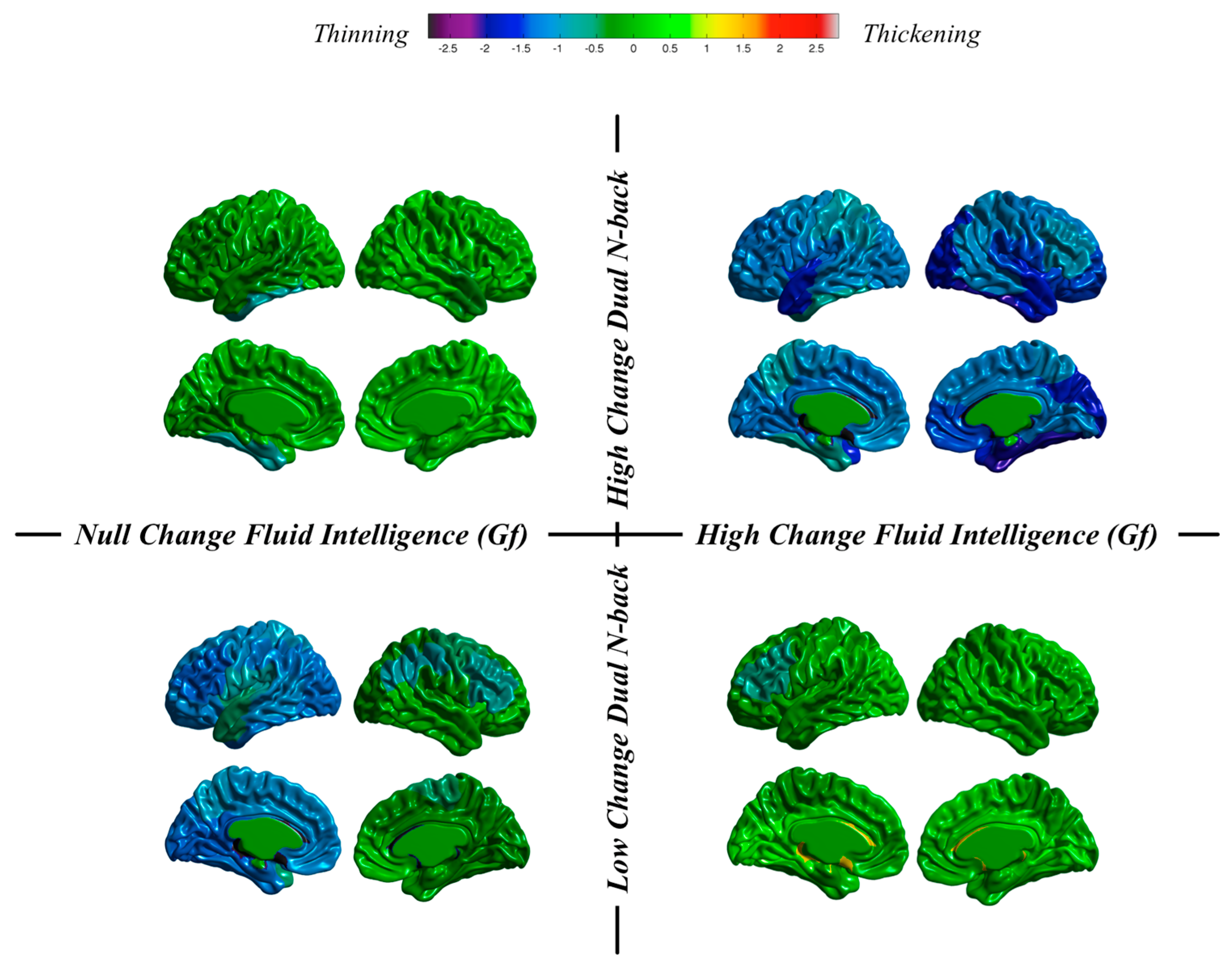 Jintelligence 06 00011 g007 Jintelligence 06 00011 g007