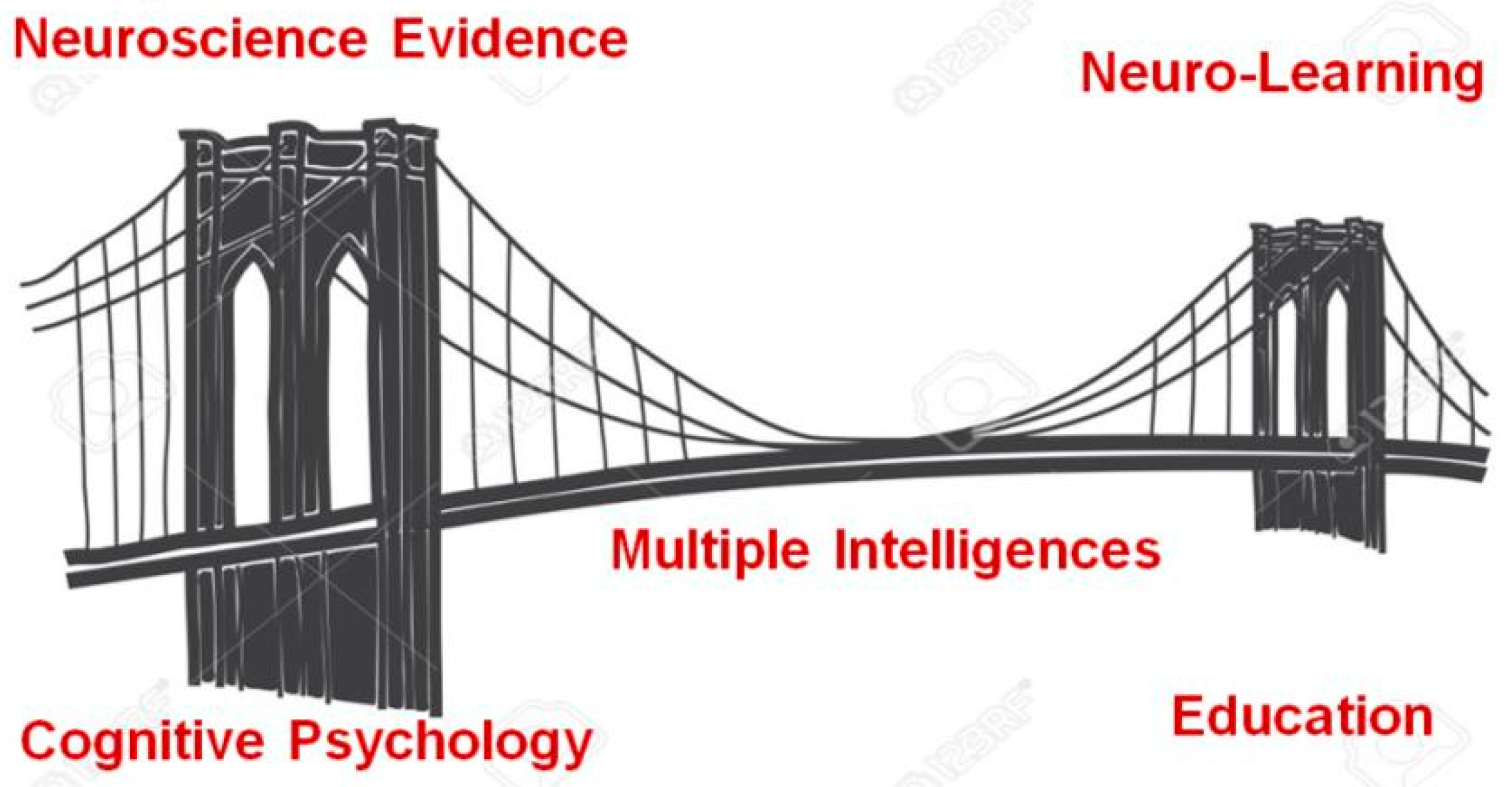 J. Intell. | Free Full-Text | Multiple Intelligences in Teaching and  Education: Lessons Learned from Neuroscience