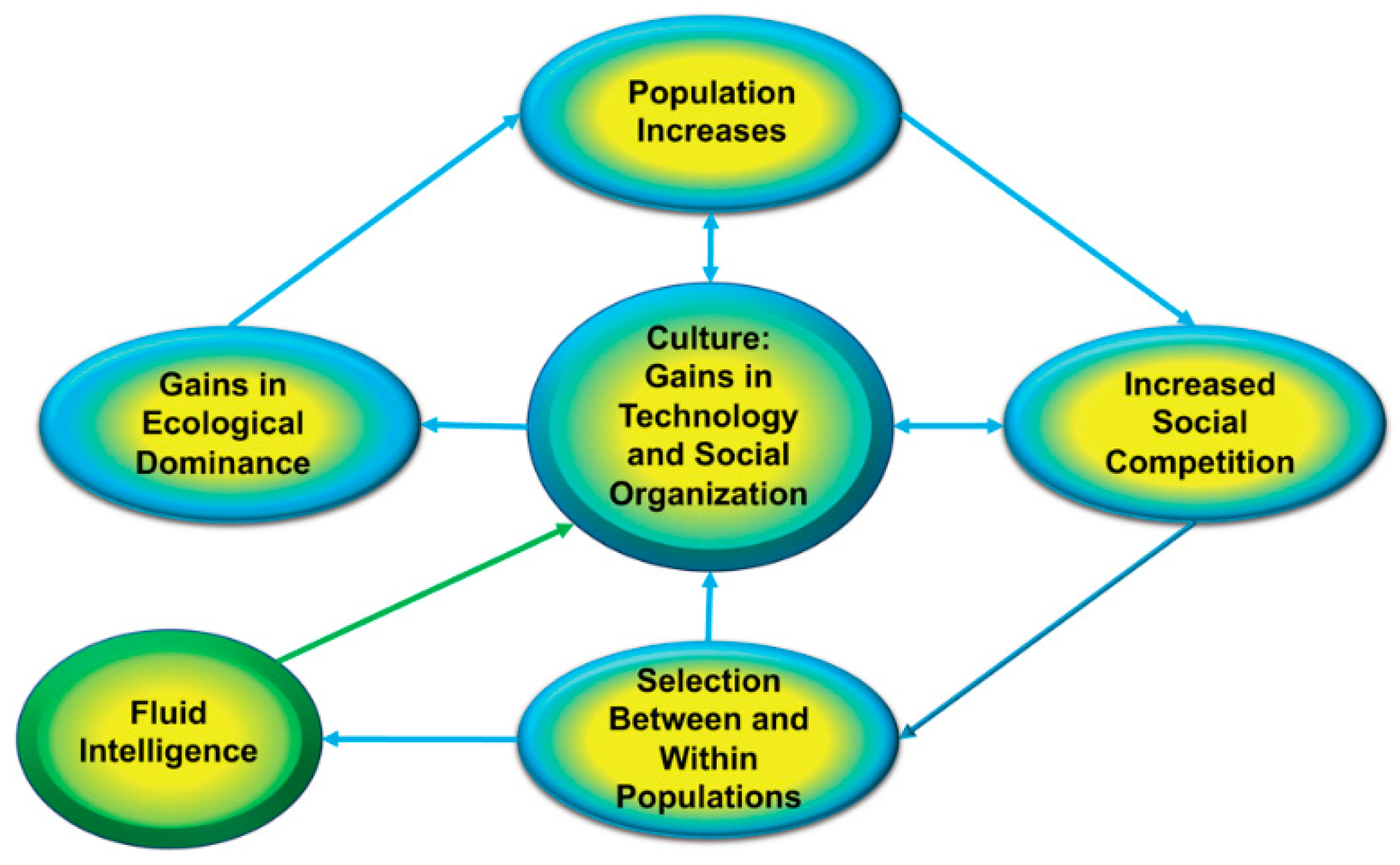 Jintelligence 08 00042 g002 Jintelligence 08 00042 g002