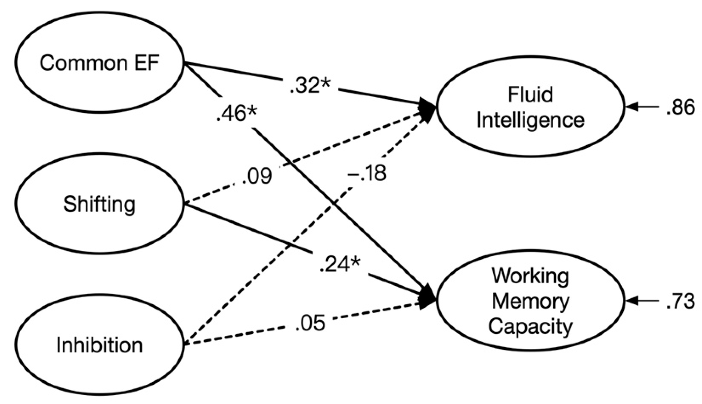 洋書 Weak Convergence and Empirical Processes 4148e-pn3qL._AC_SY200_QL15_.jpg