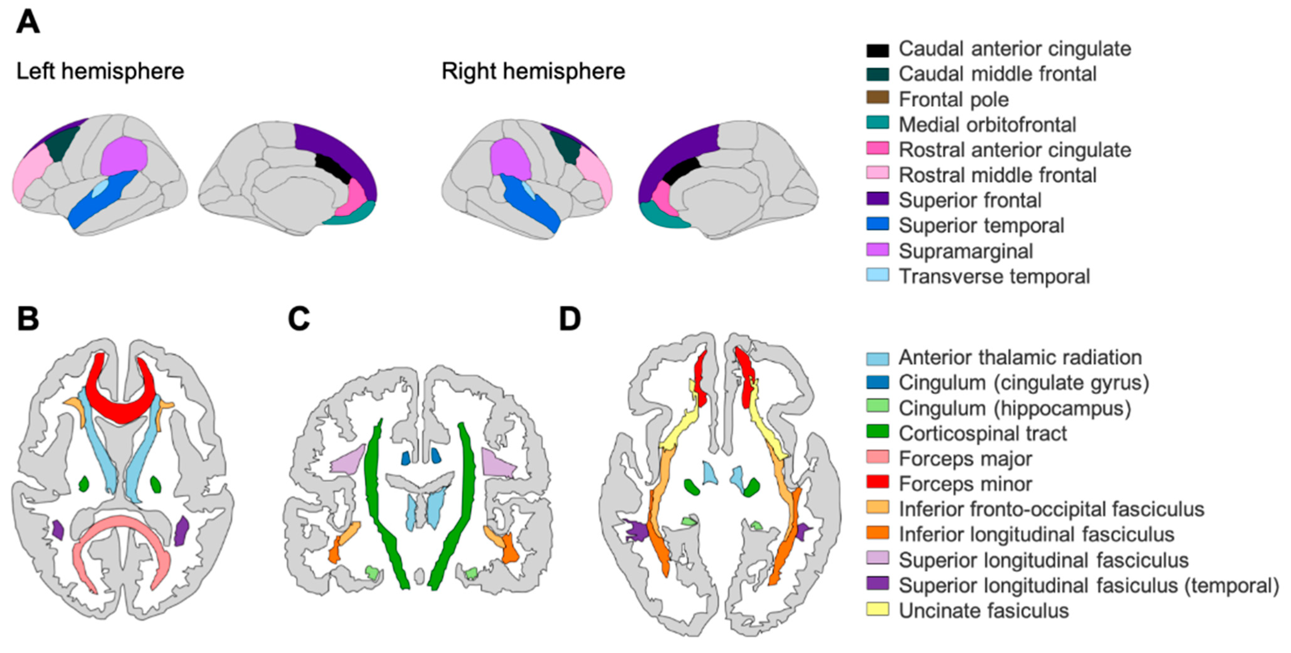 The Neuroscience of Intelligence by Haier, Richard J.