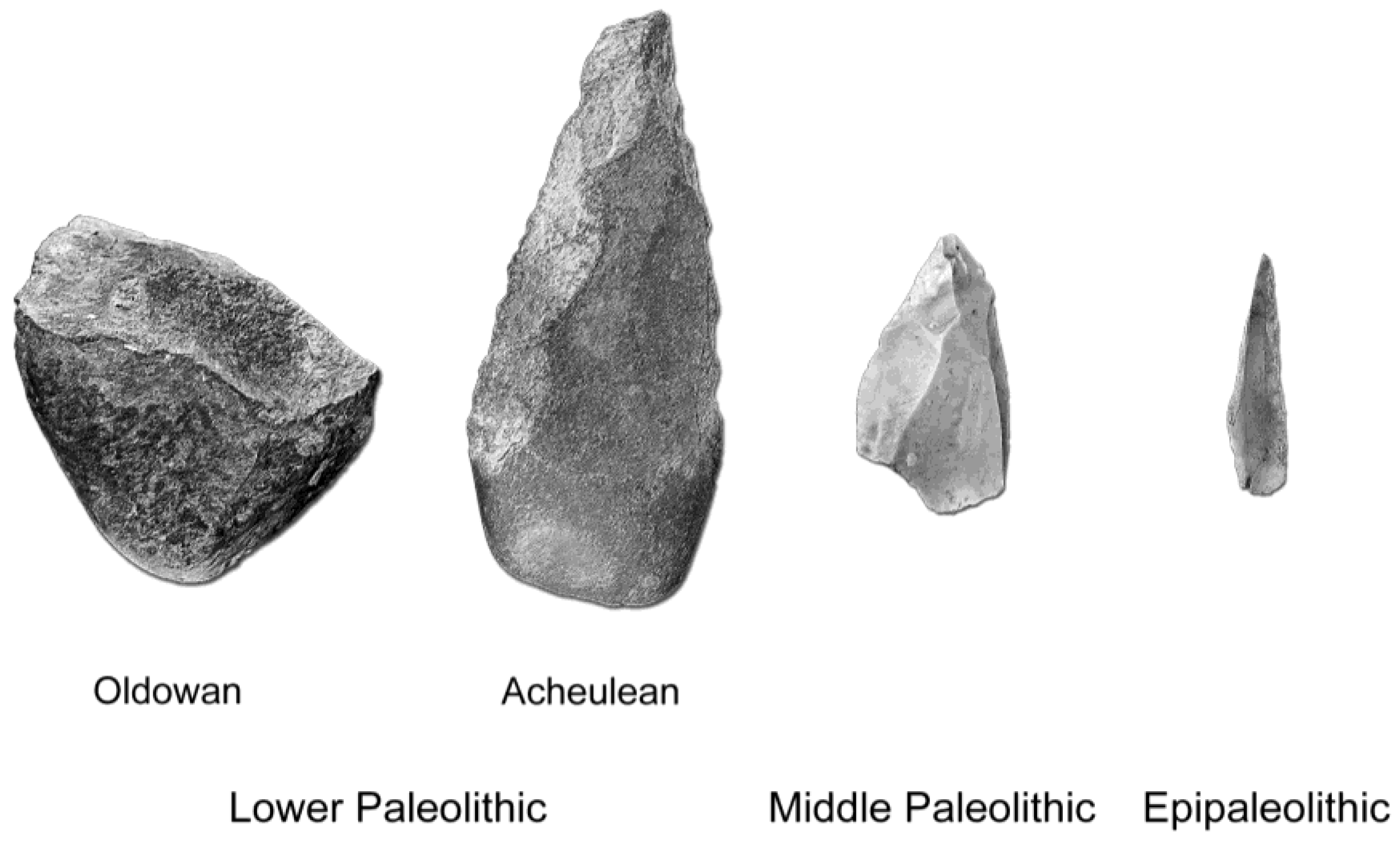 Jintelligence 11 00183 g002 Jintelligence 11 00183 g002