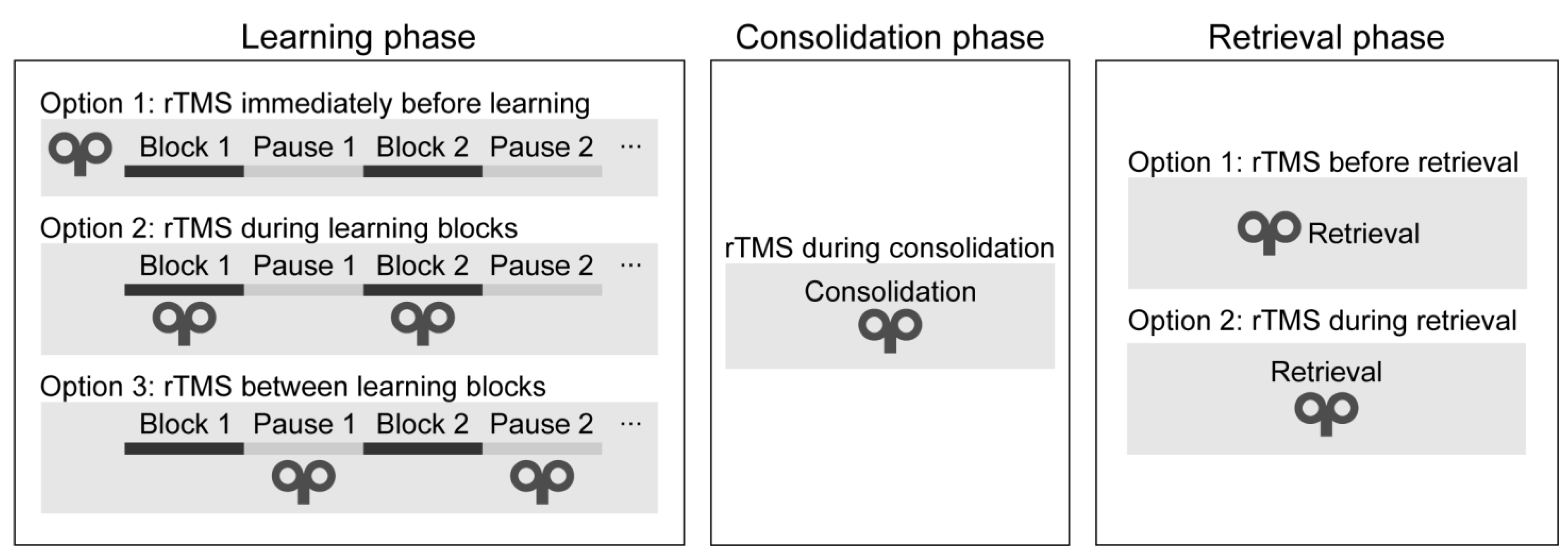 Jintelligence 11 00201 g004