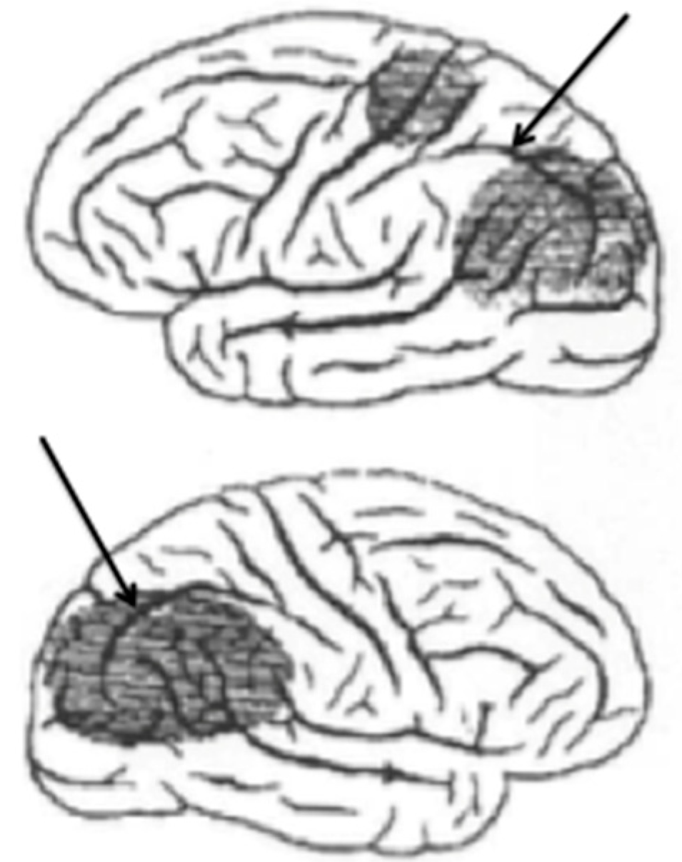 Jintelligence 12 00050 g001