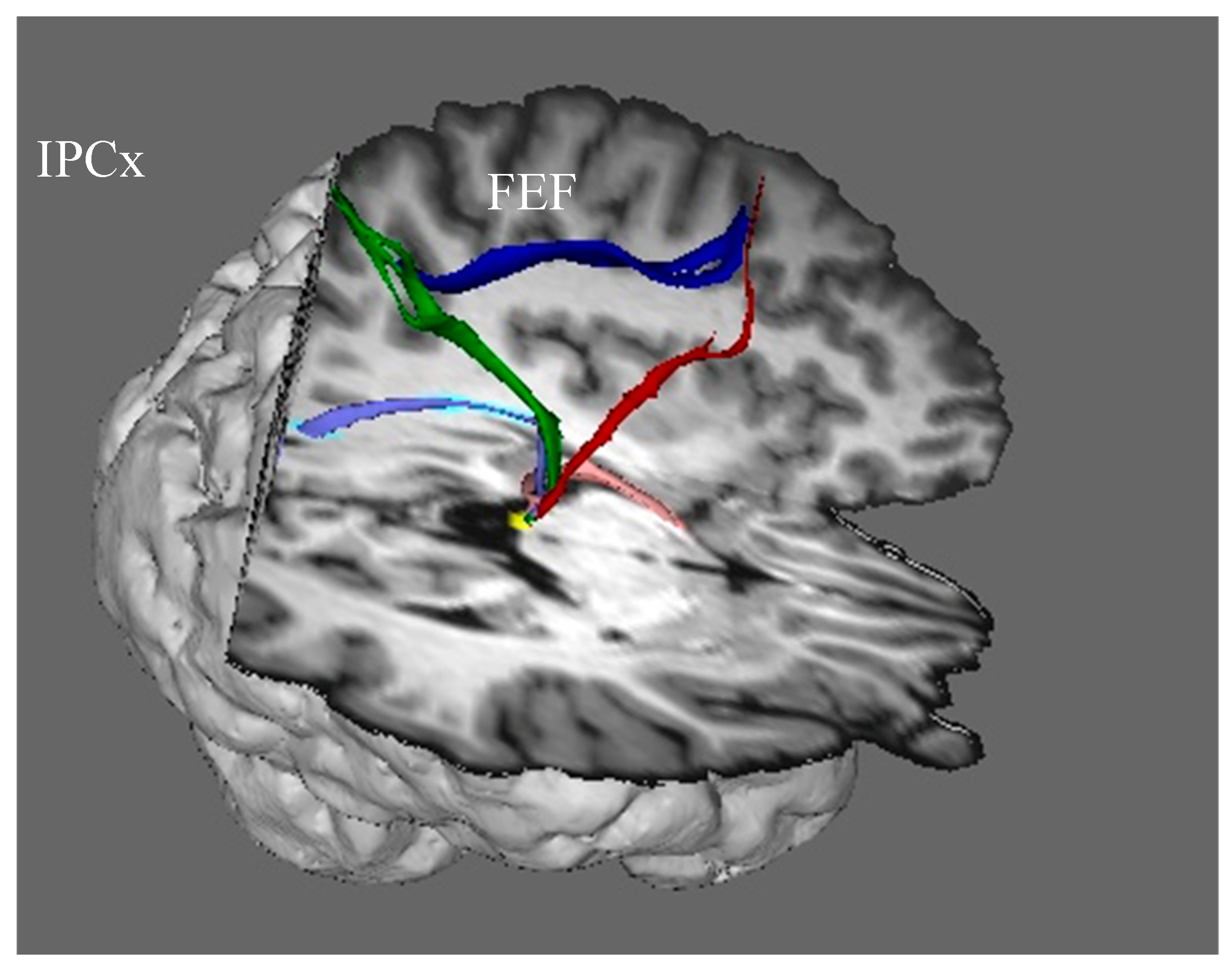 Jintelligence 12 00050 g006