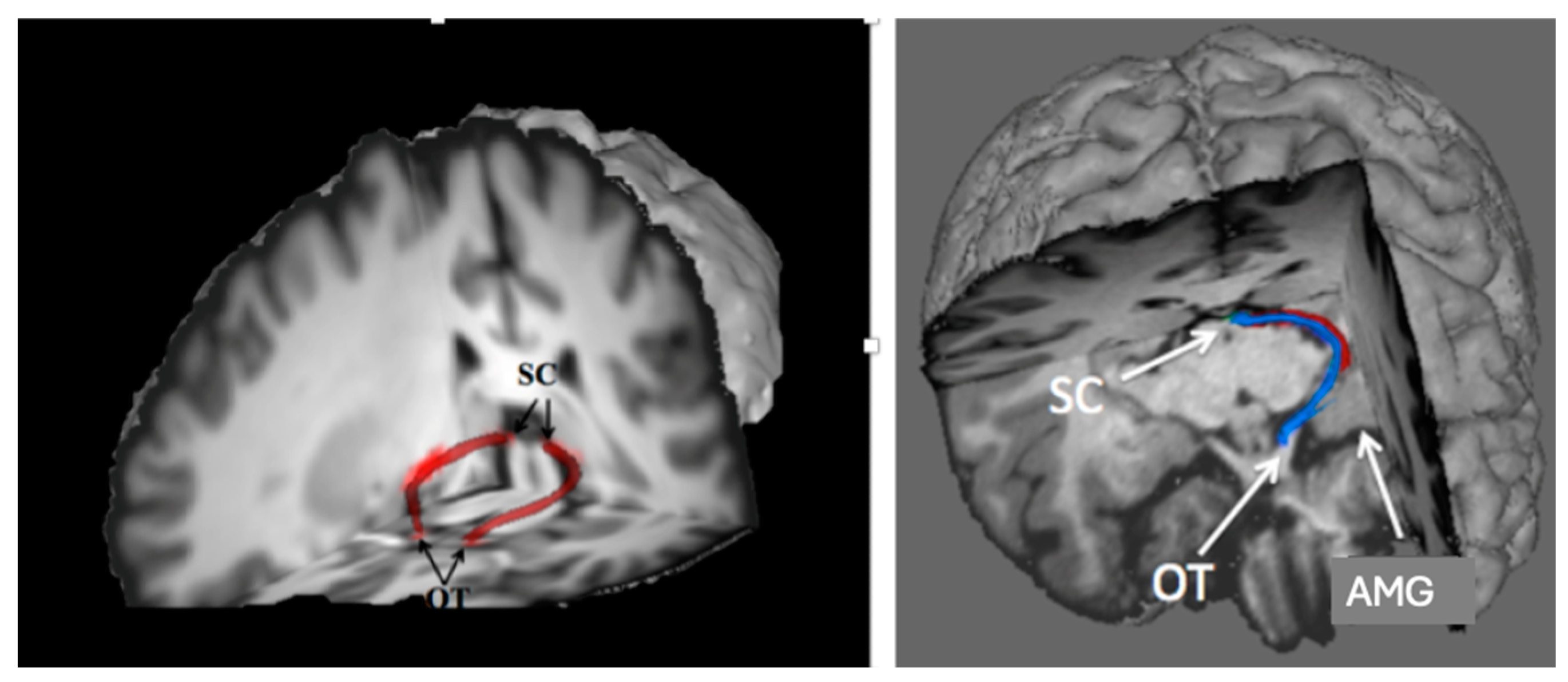 Jintelligence 12 00050 g007