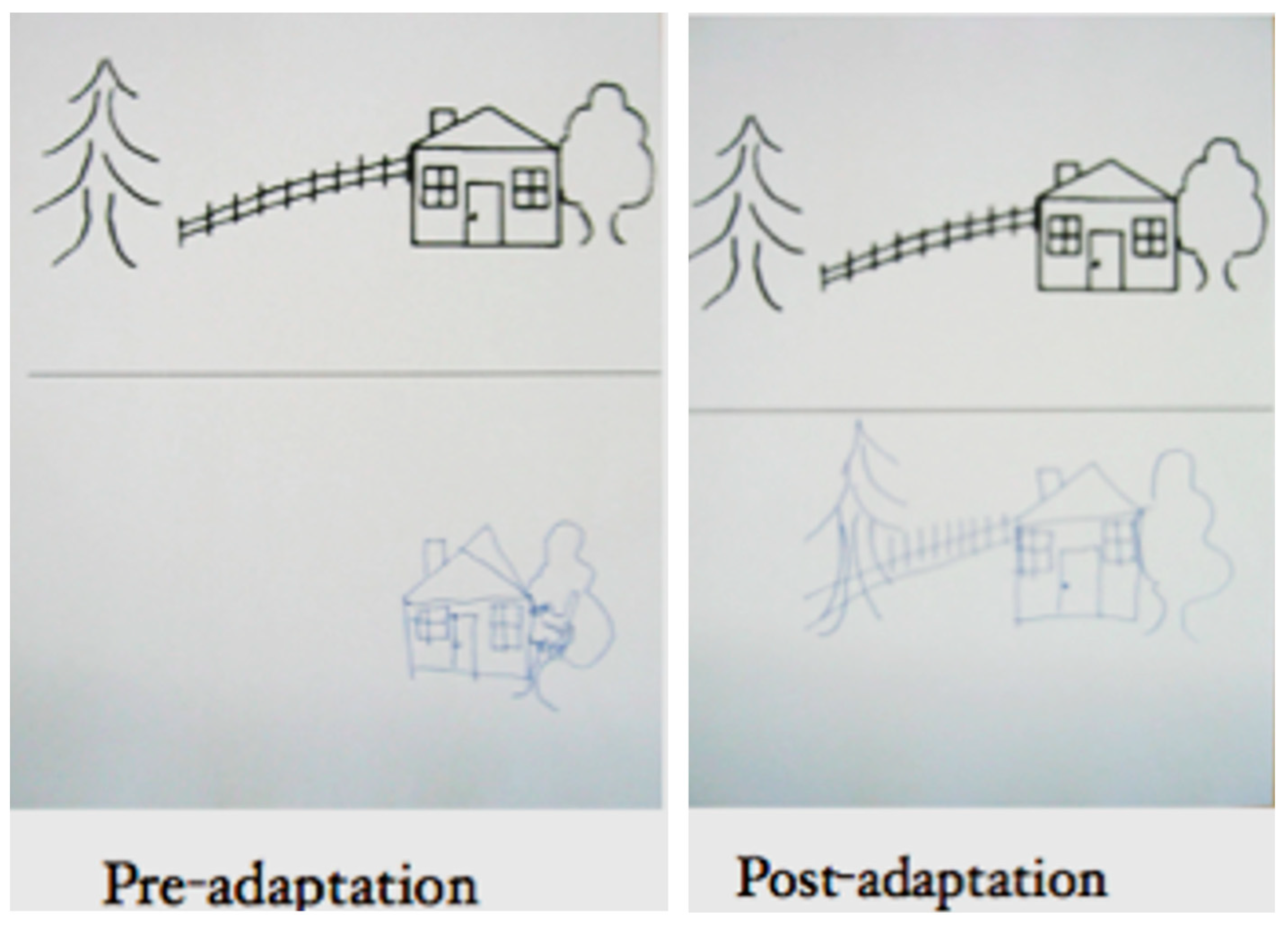 Jintelligence 12 00050 g015