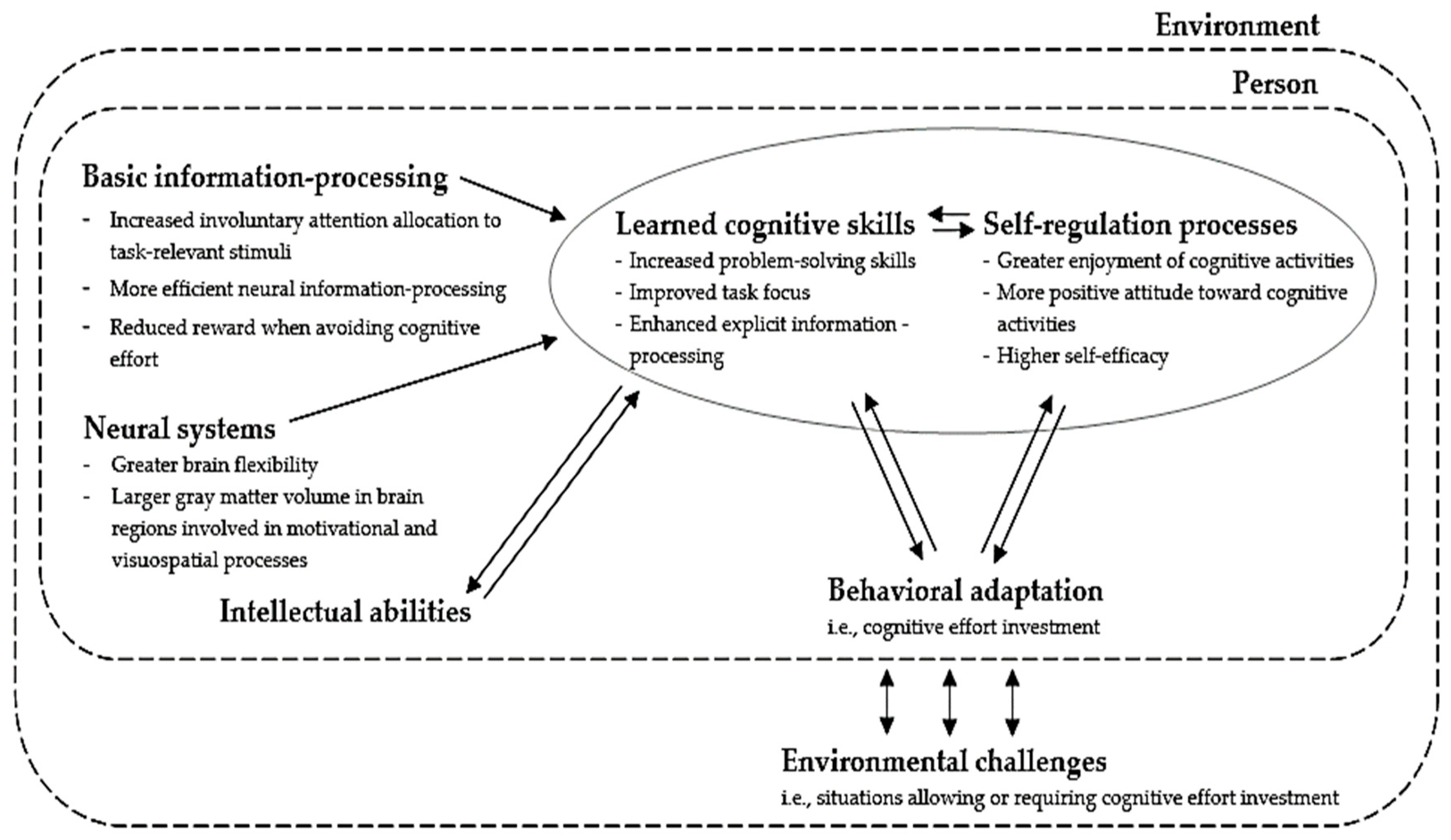 Jintelligence 12 00099 g001 Jintelligence 12 00099 g001