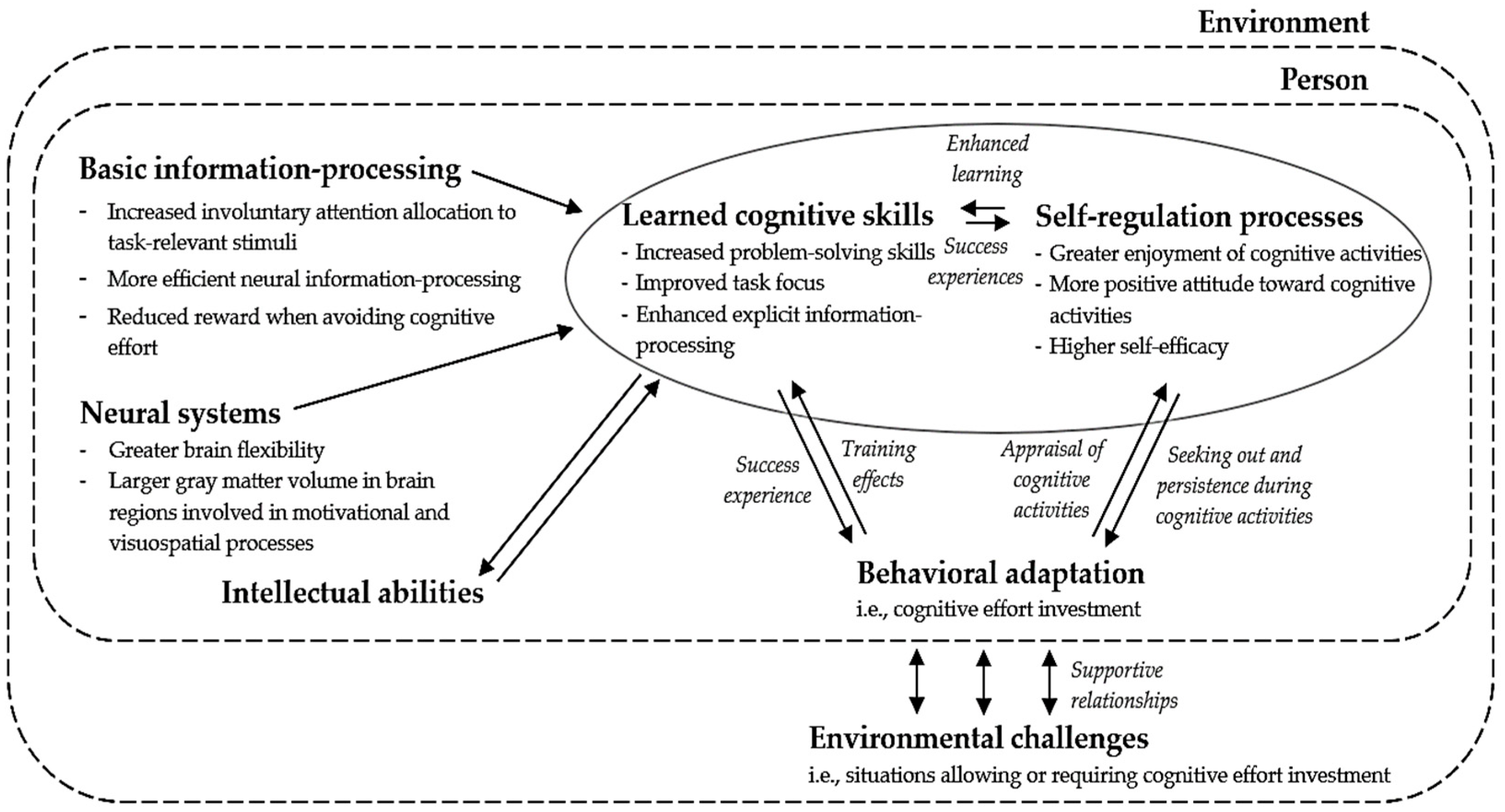 Jintelligence 12 00099 g002 Jintelligence 12 00099 g002