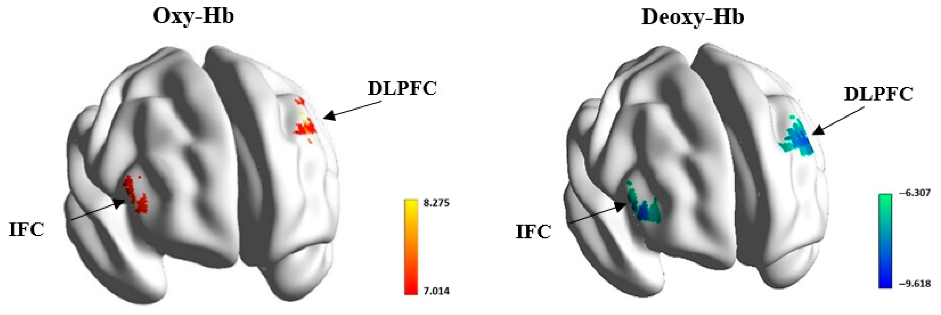 Jintelligence 13 00106 g002