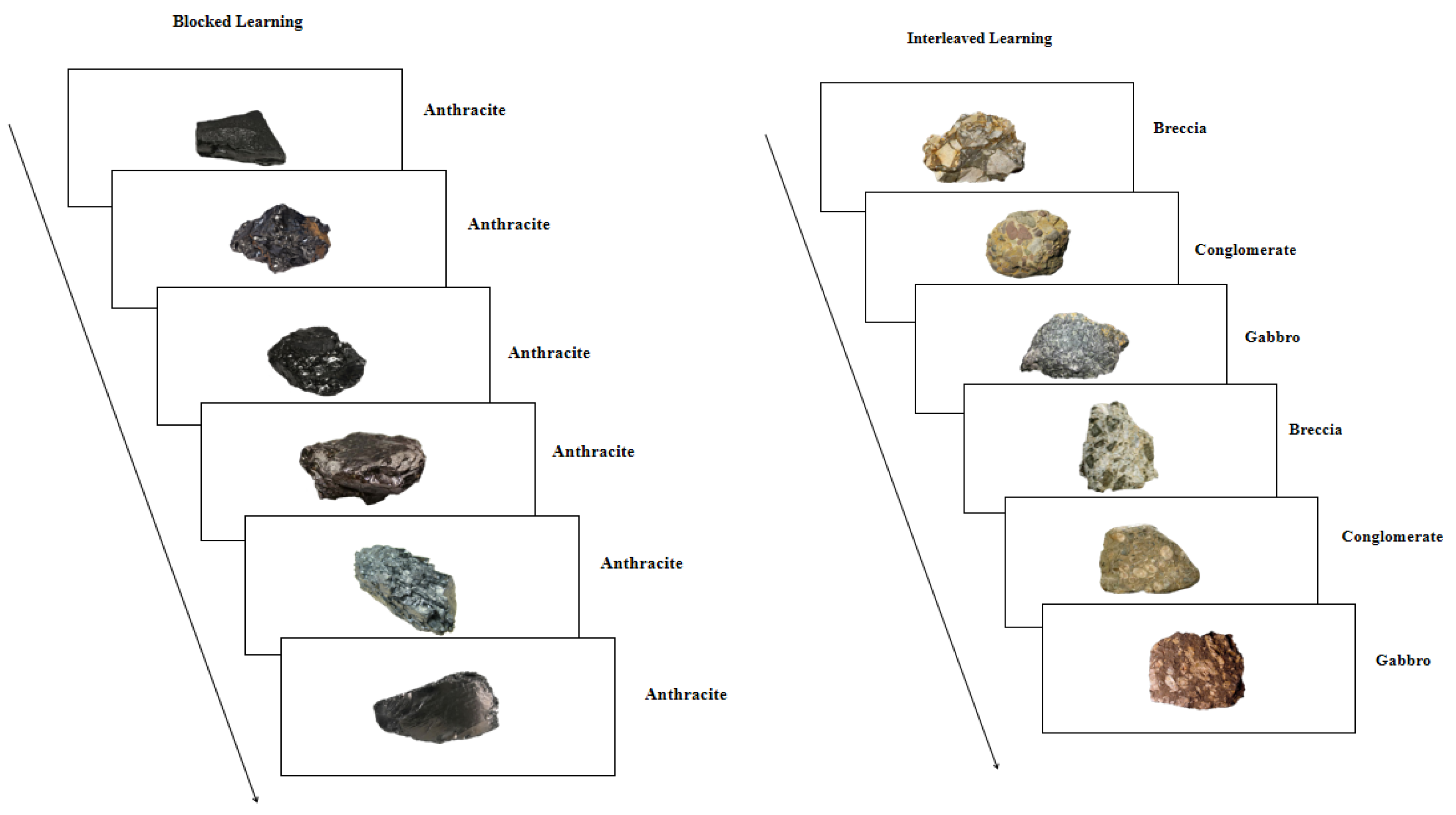 Jintelligence 13 00107 g001