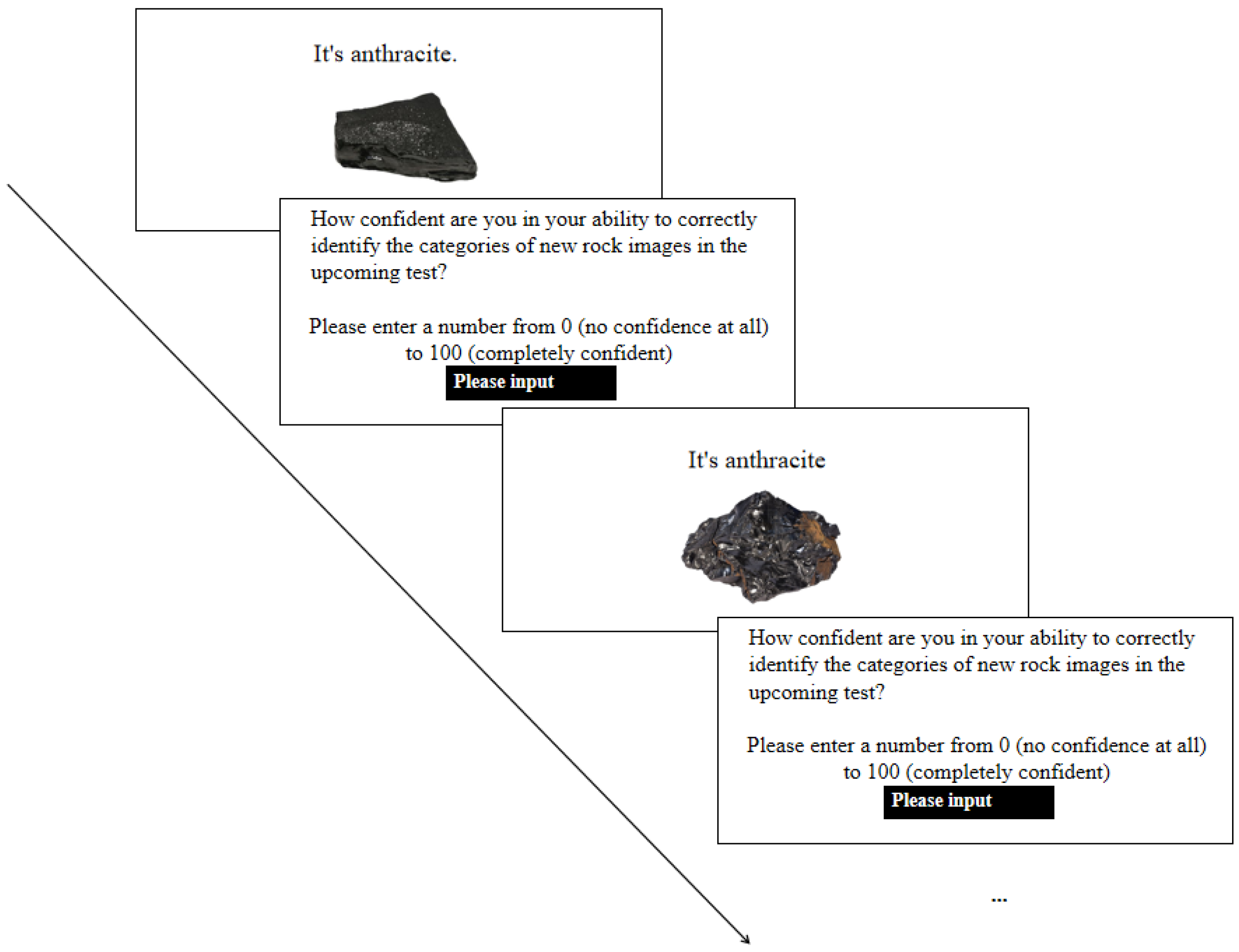 Jintelligence 13 00107 g003