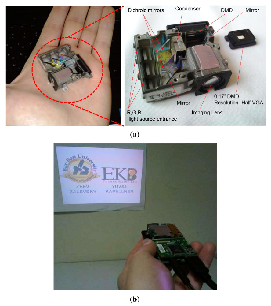 Jlpea 02 00079 g005 1024