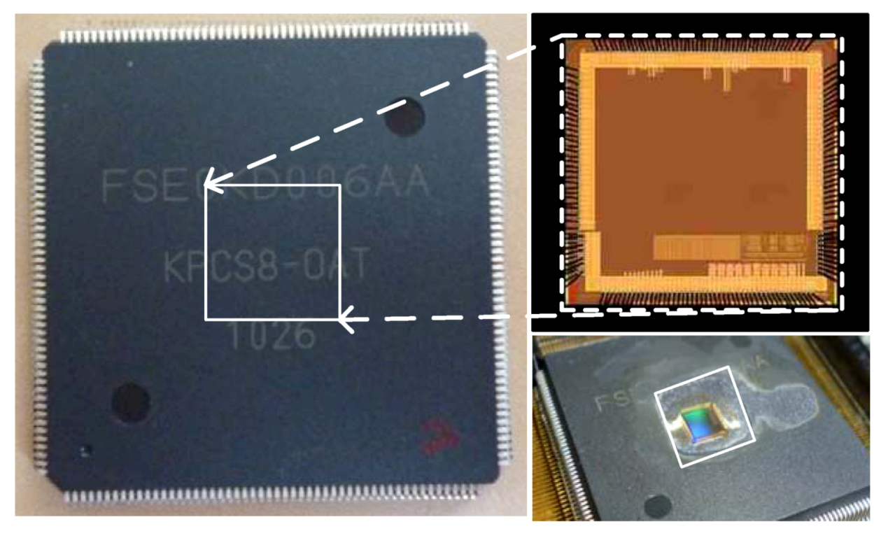 Jlpea 02 00282 g008 1024