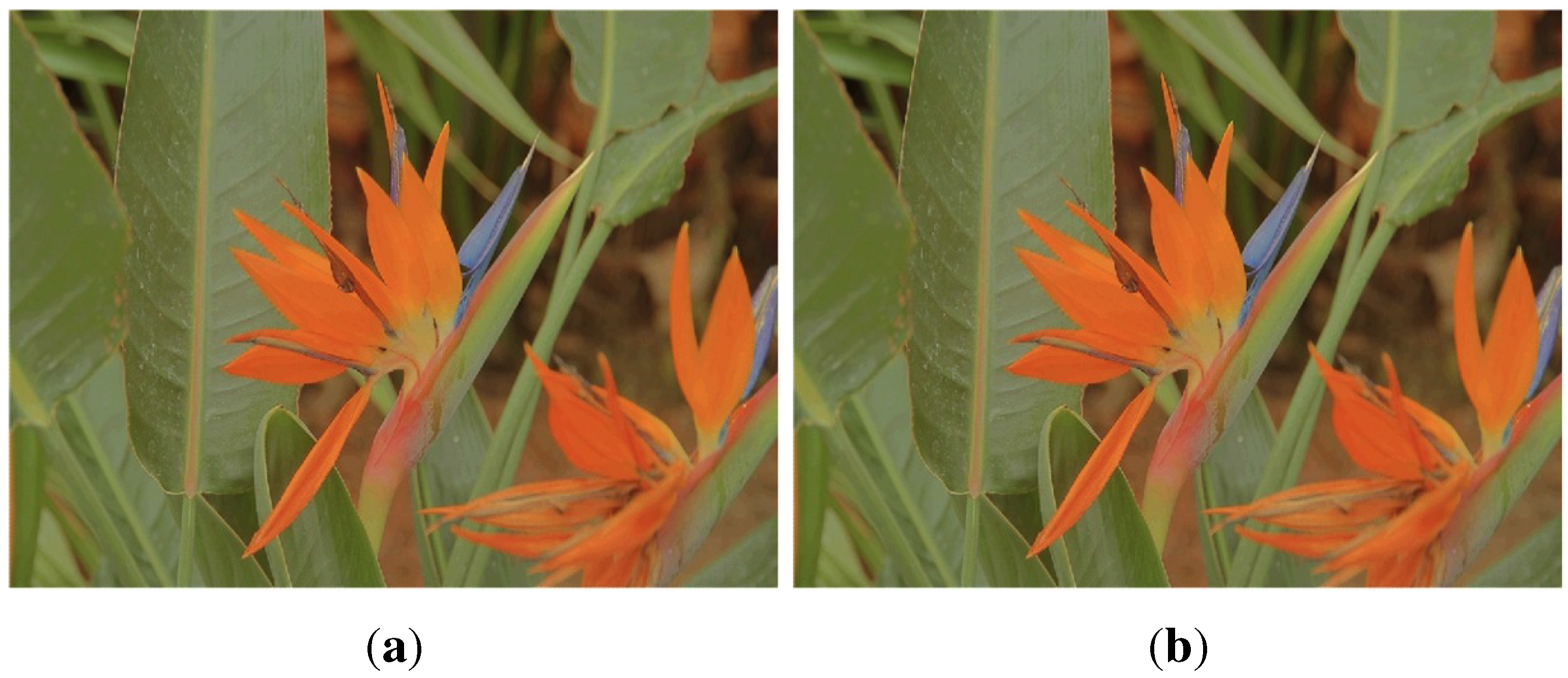 Jlpea 03 00337 g018 1024