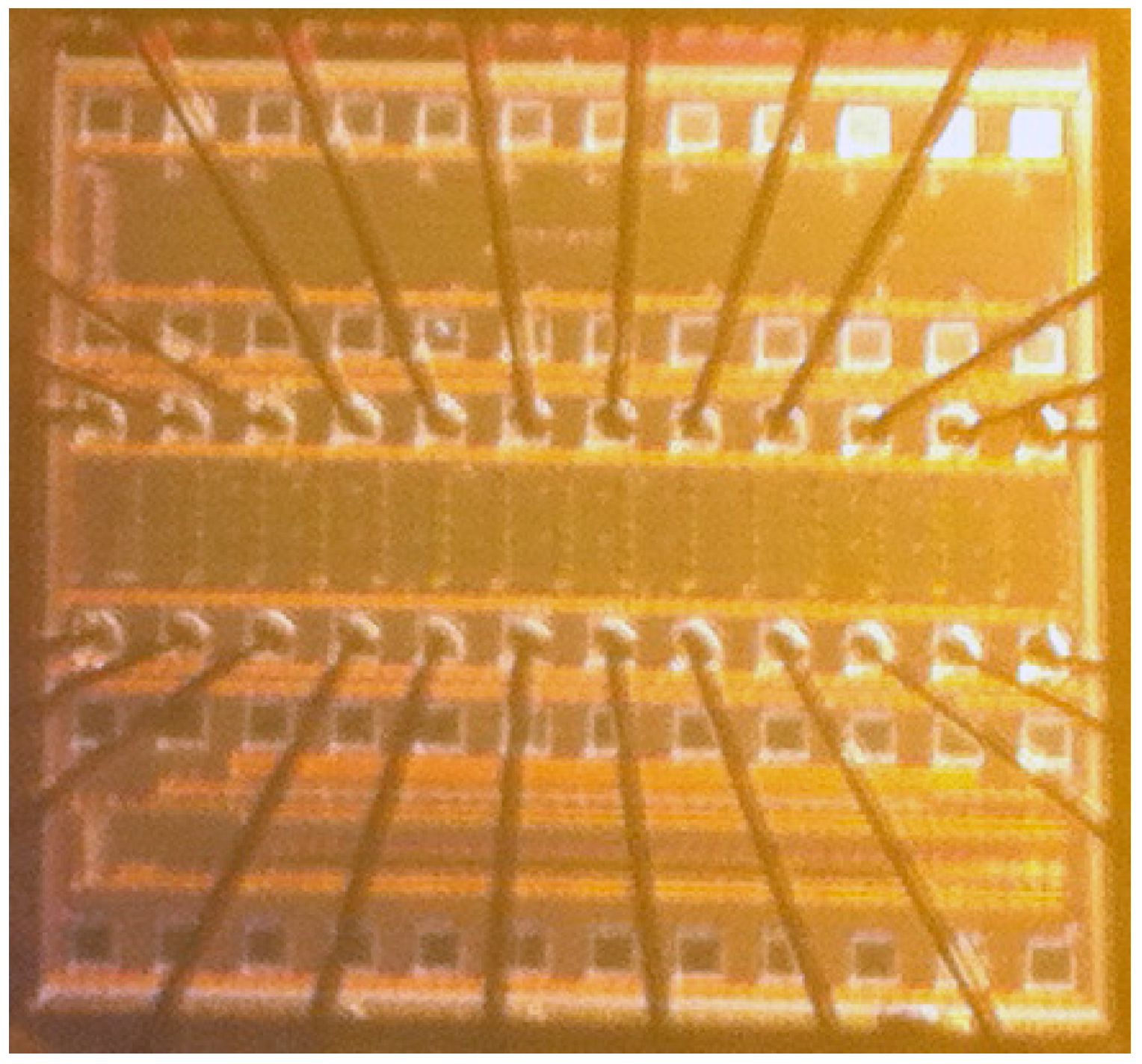 Jlpea 04 00252 g004