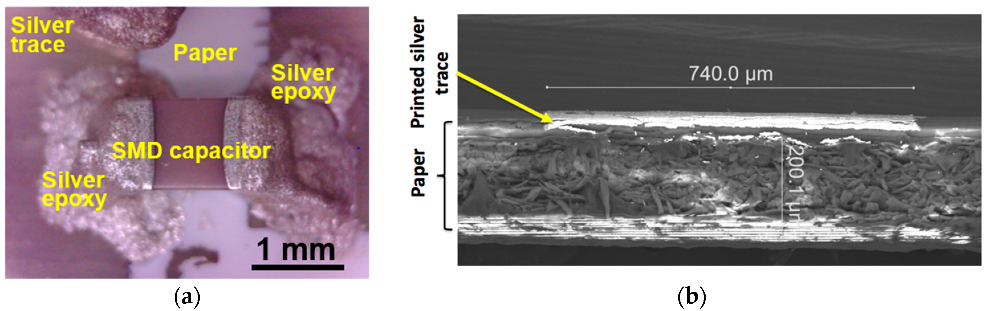 Jlpea 07 00026 g010