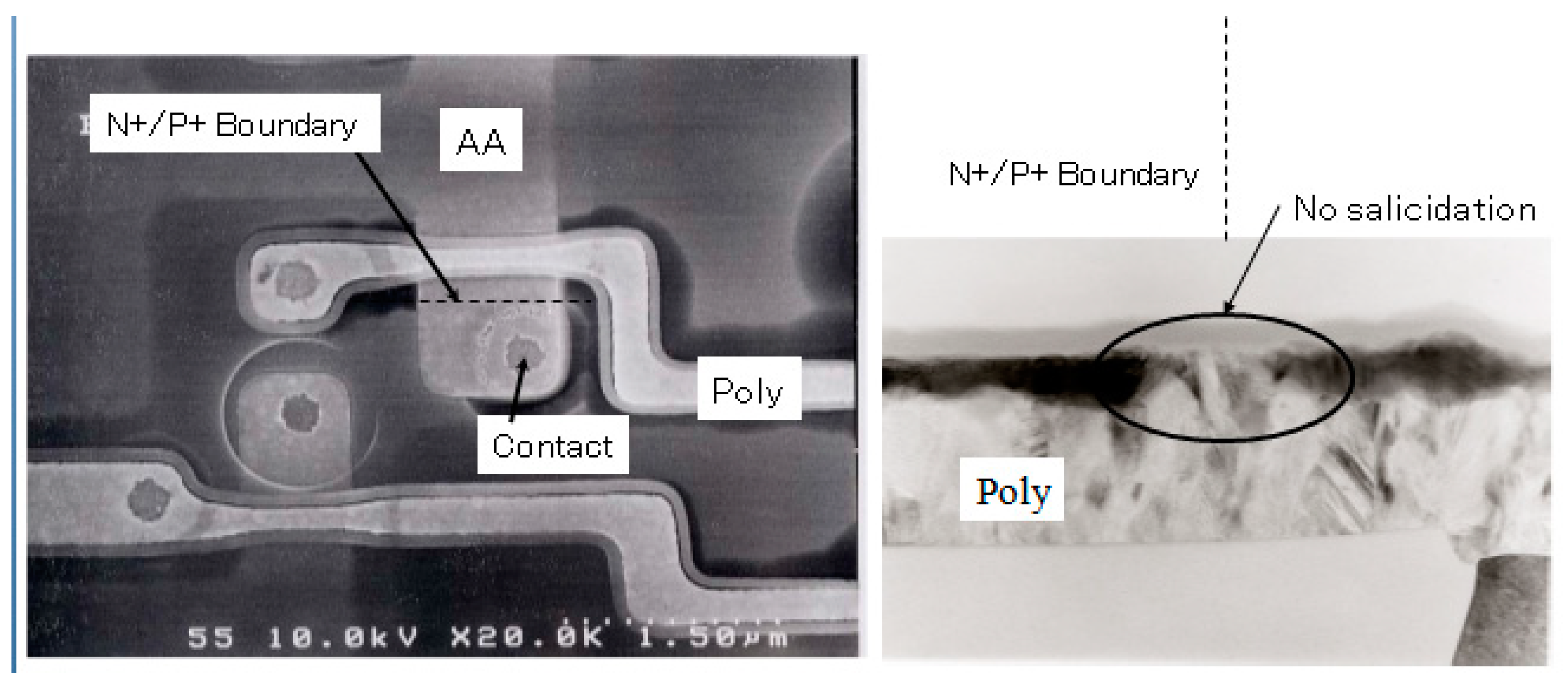 Jlpea 08 00020 g007 Jlpea 08 00020 g007