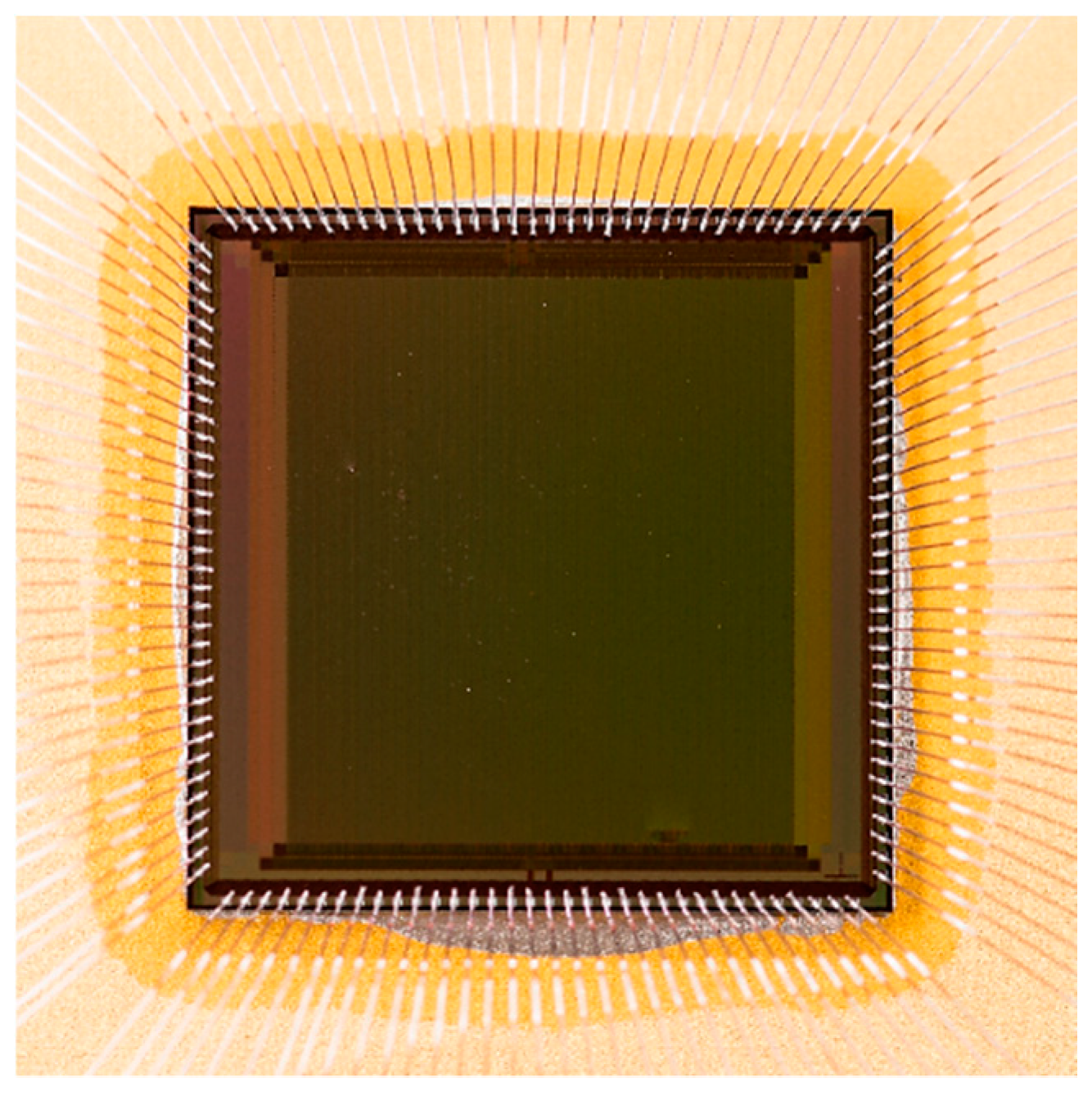 Jlpea 08 00025 g004 Jlpea 08 00025 g004