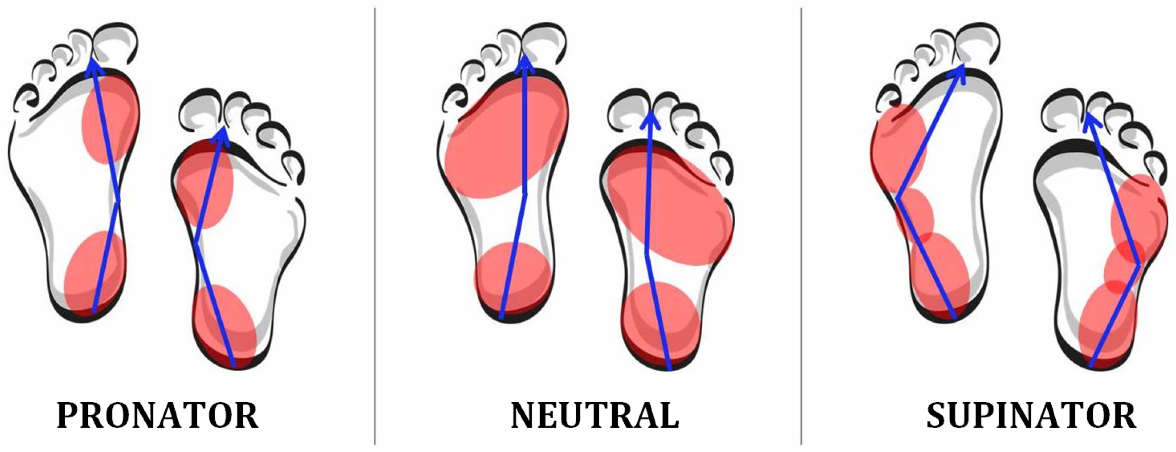 Jlpea 10 00014 g001 Jlpea 10 00014 g001