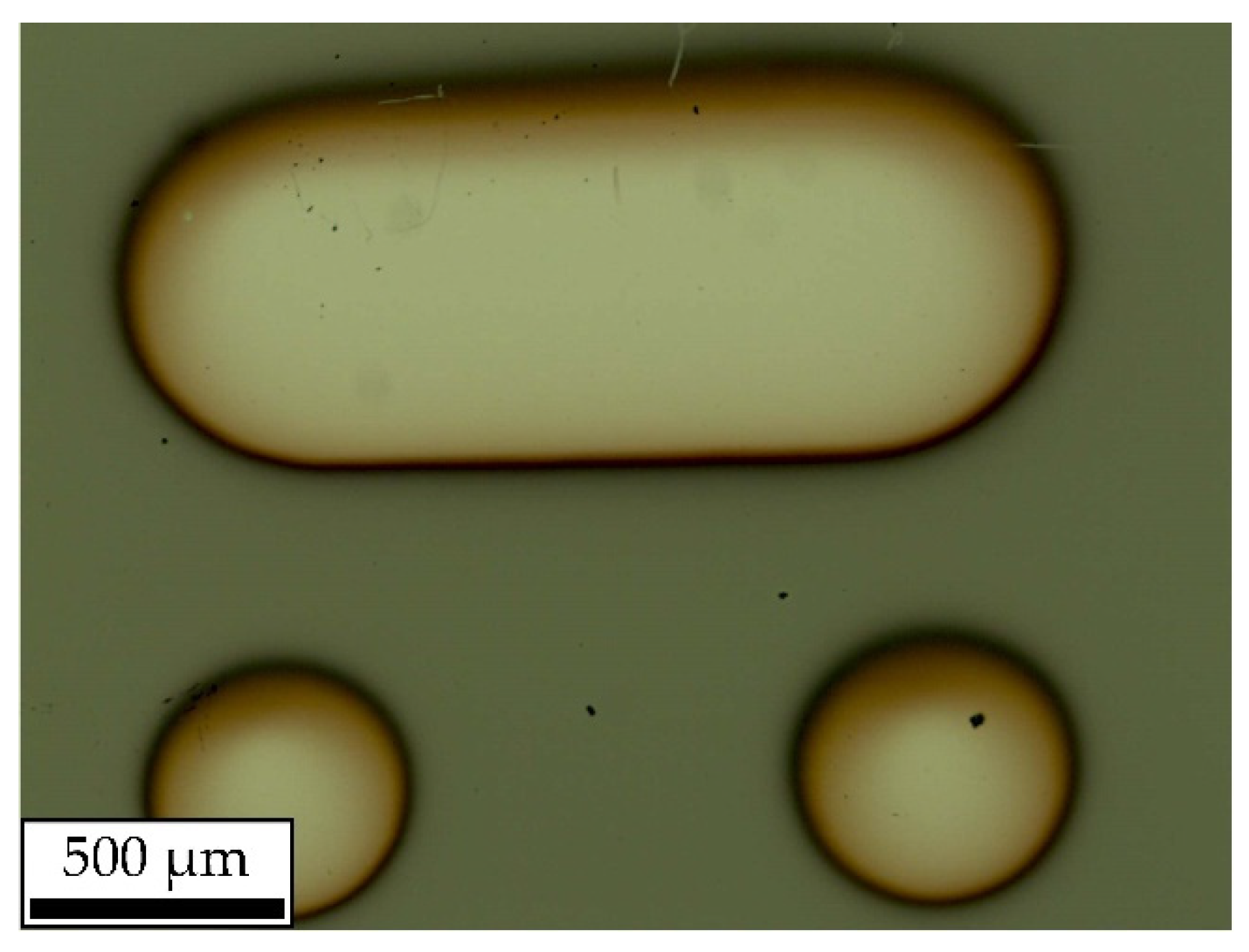 Jlpea 12 00014 g002 Jlpea 12 00014 g002