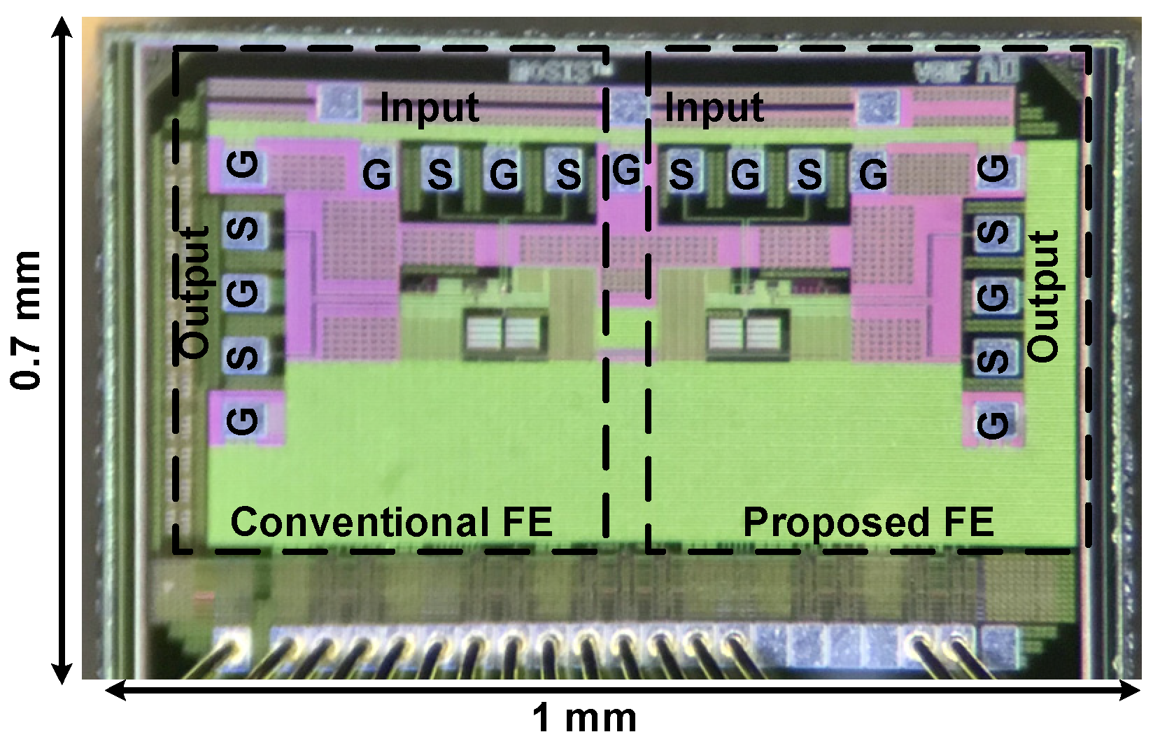 Jlpea 12 00019 g012 550