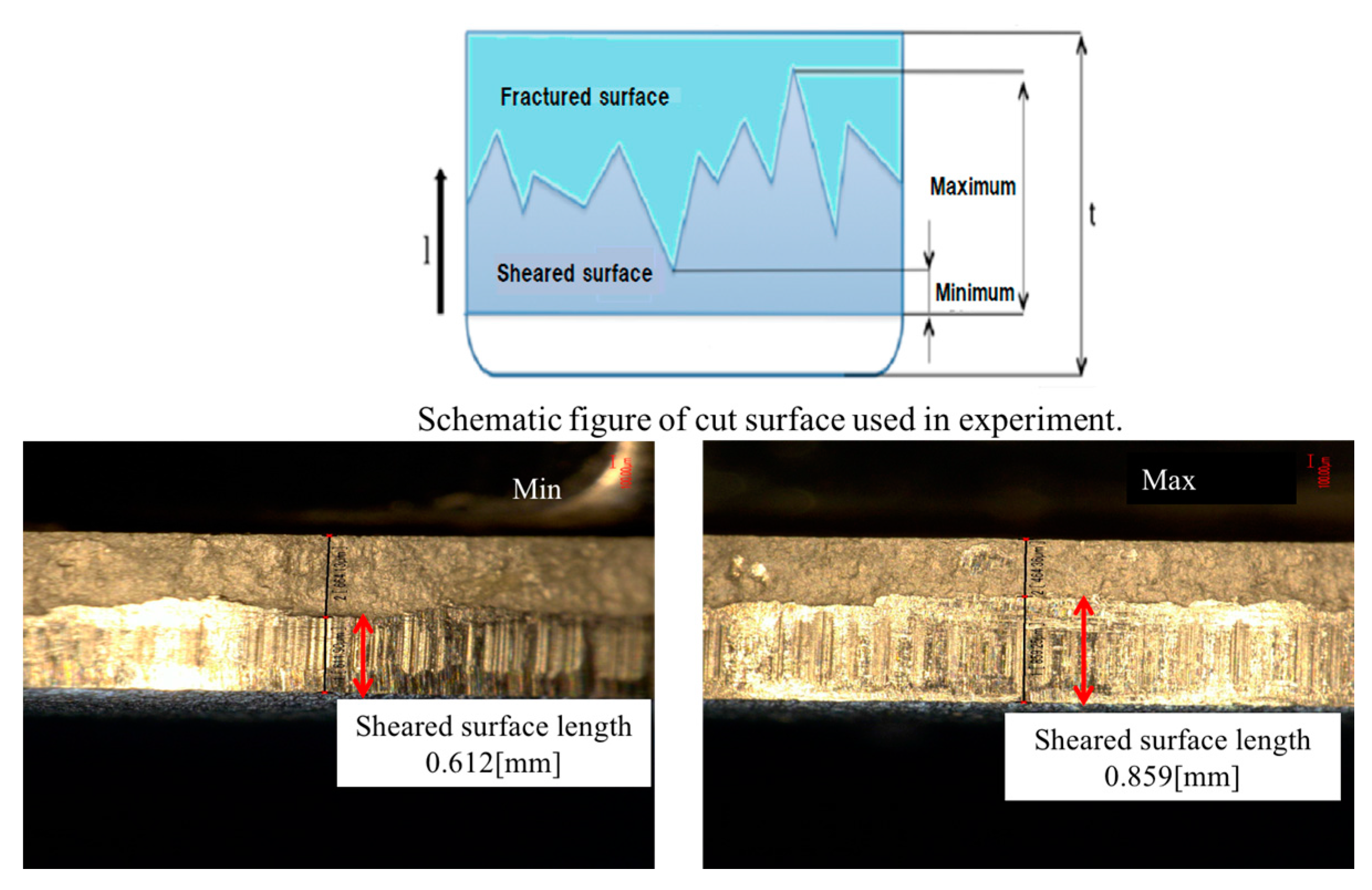 Jmmp 01 00012 g003 550