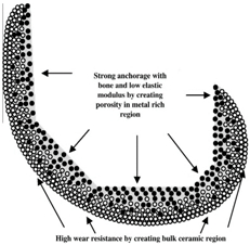 Jmmp 01 00013 i014 Jmmp 01 00013 i014