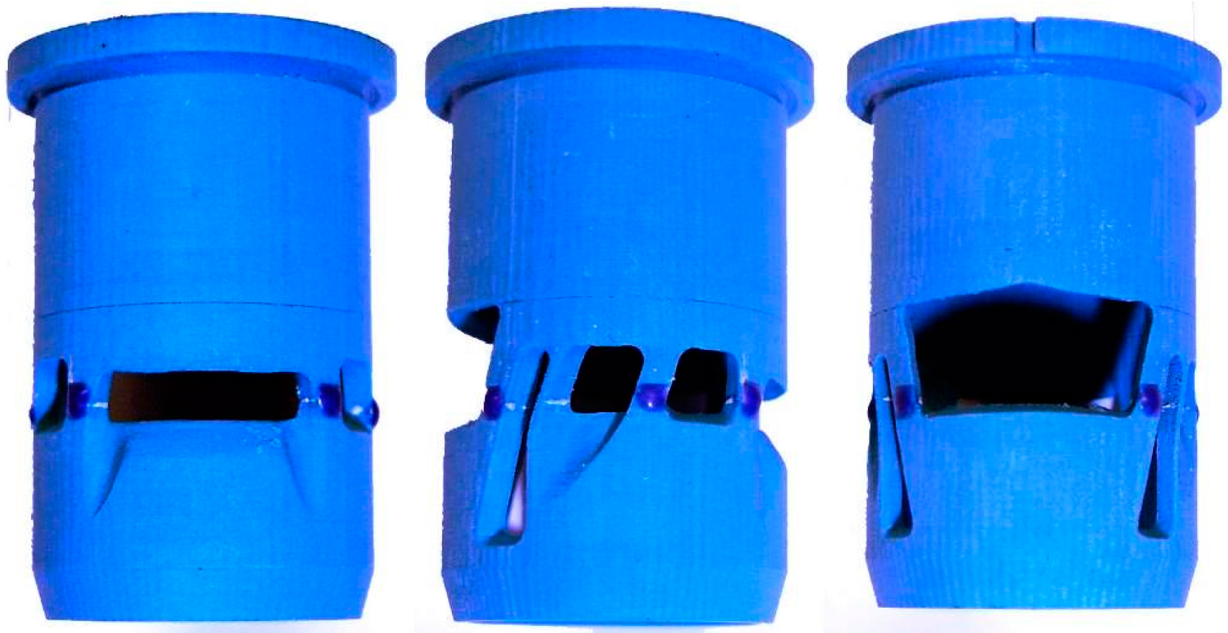 Jmmp 01 00017 g017 Jmmp 01 00017 g017