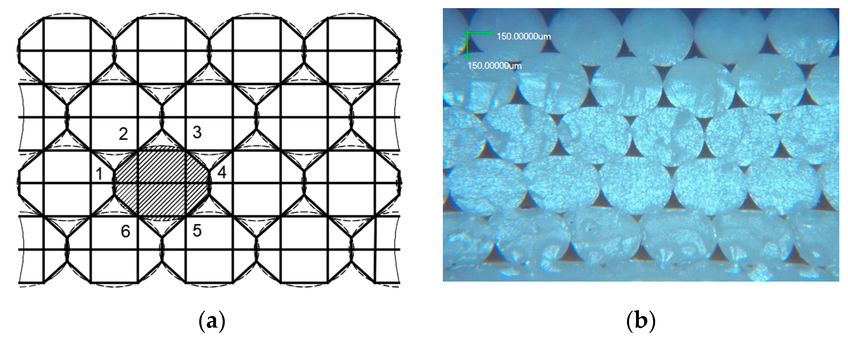 Jmmp 01 00018 g005 550