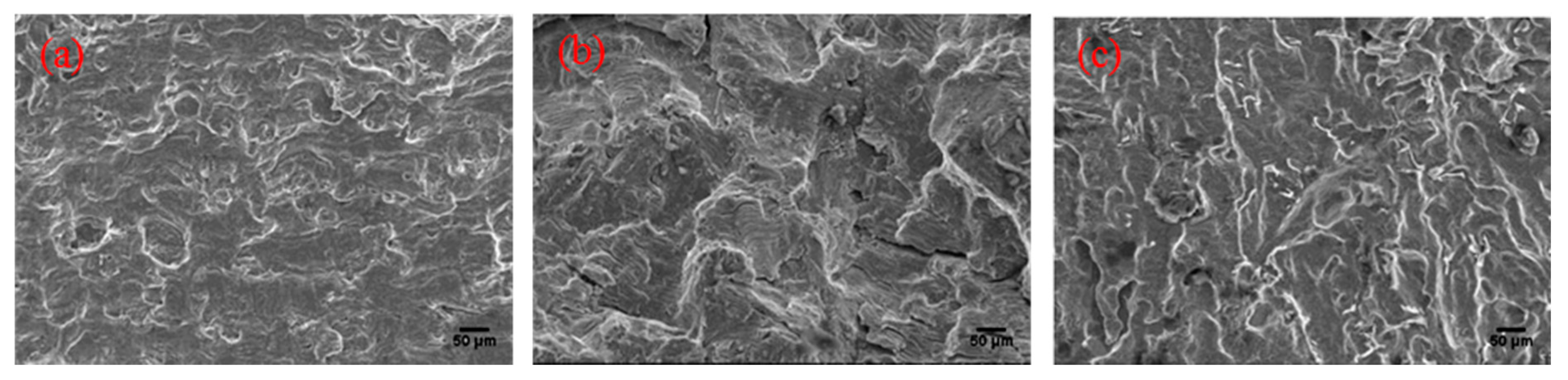 Jmmp 01 00019 g009 550